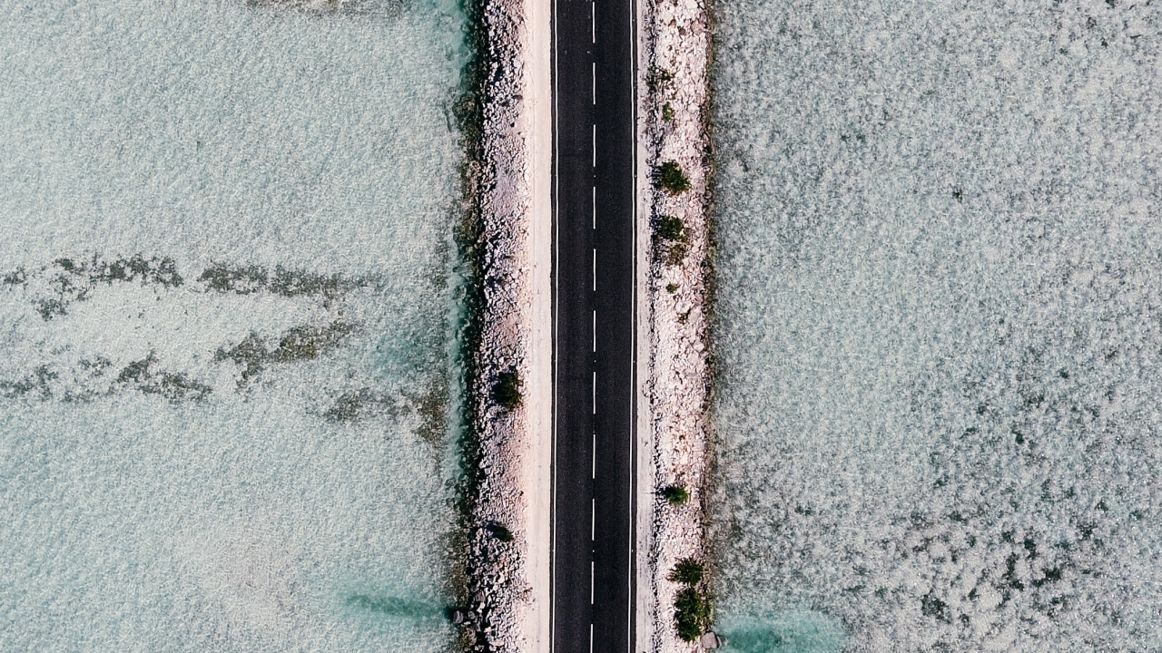 Обои зеленый, синий, стена, линия, дерево в разрешении 1280x720