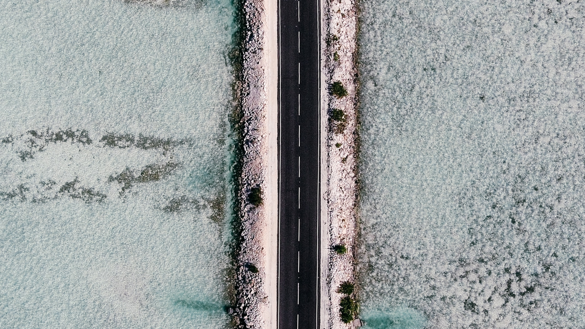 Обои зеленый, синий, стена, линия, дерево в разрешении 1920x1080