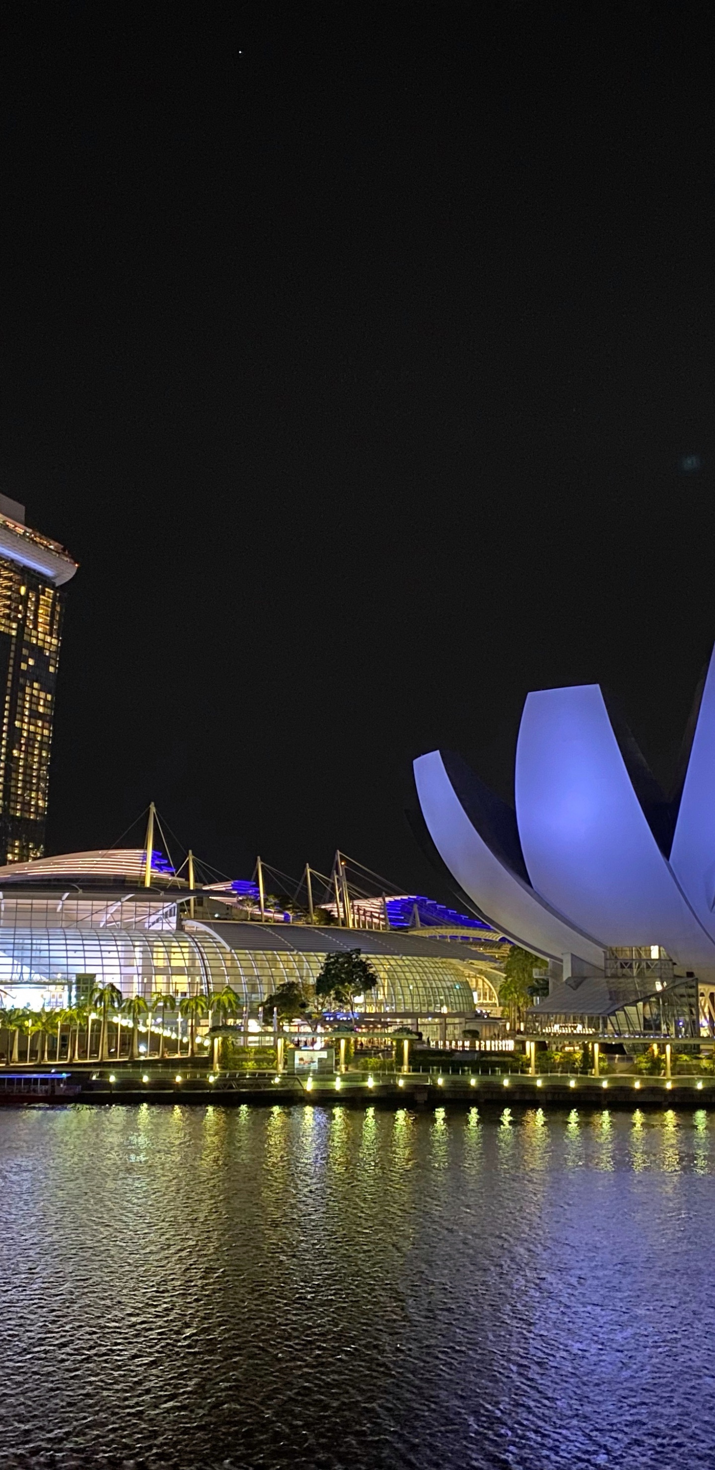 Обои отражение, Ангкор ВАТ, вода, ночь, город в разрешении 1440x2960