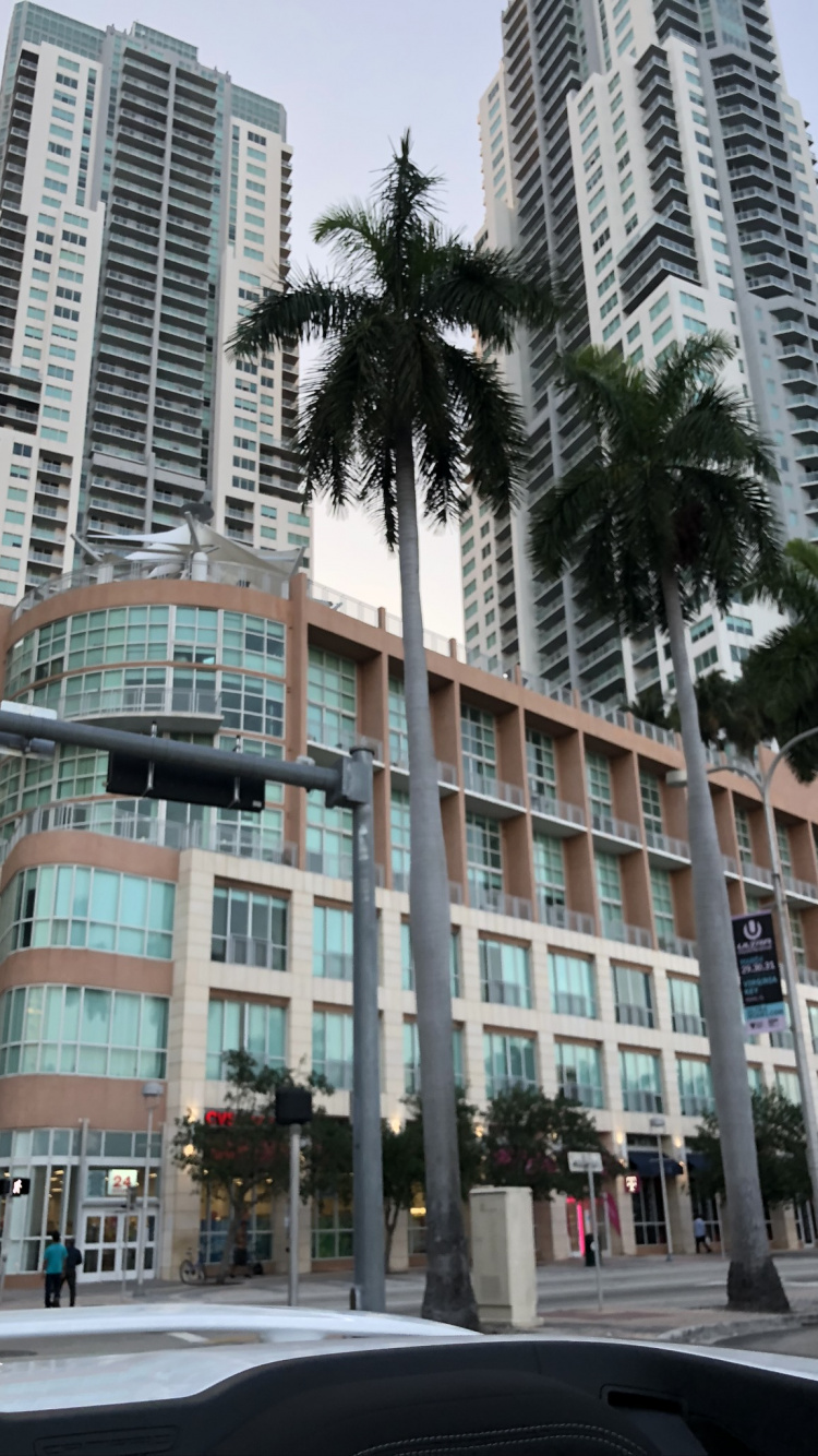 Обои Майами, кондоминиум, окно, башня, город в разрешении 750x1334