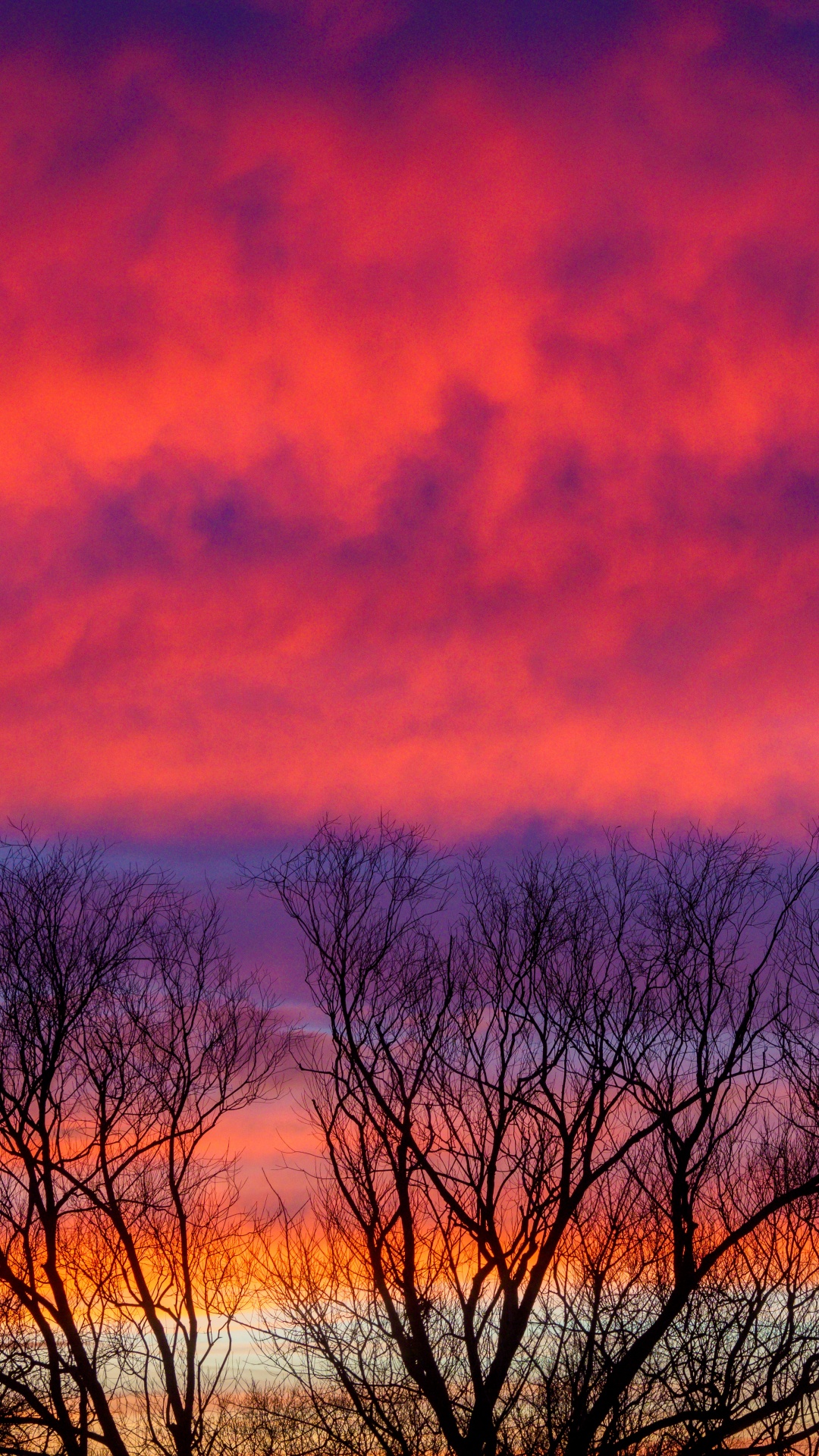 Обои облако, сумерки, дерево, восход солнца, атмосфера в разрешении 1080x1920