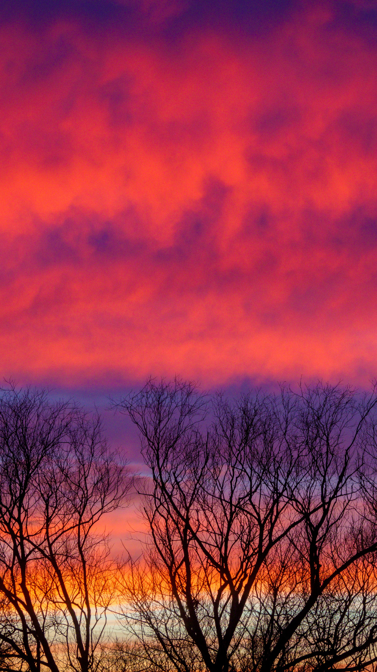 Обои облако, сумерки, дерево, восход солнца, атмосфера в разрешении 750x1334