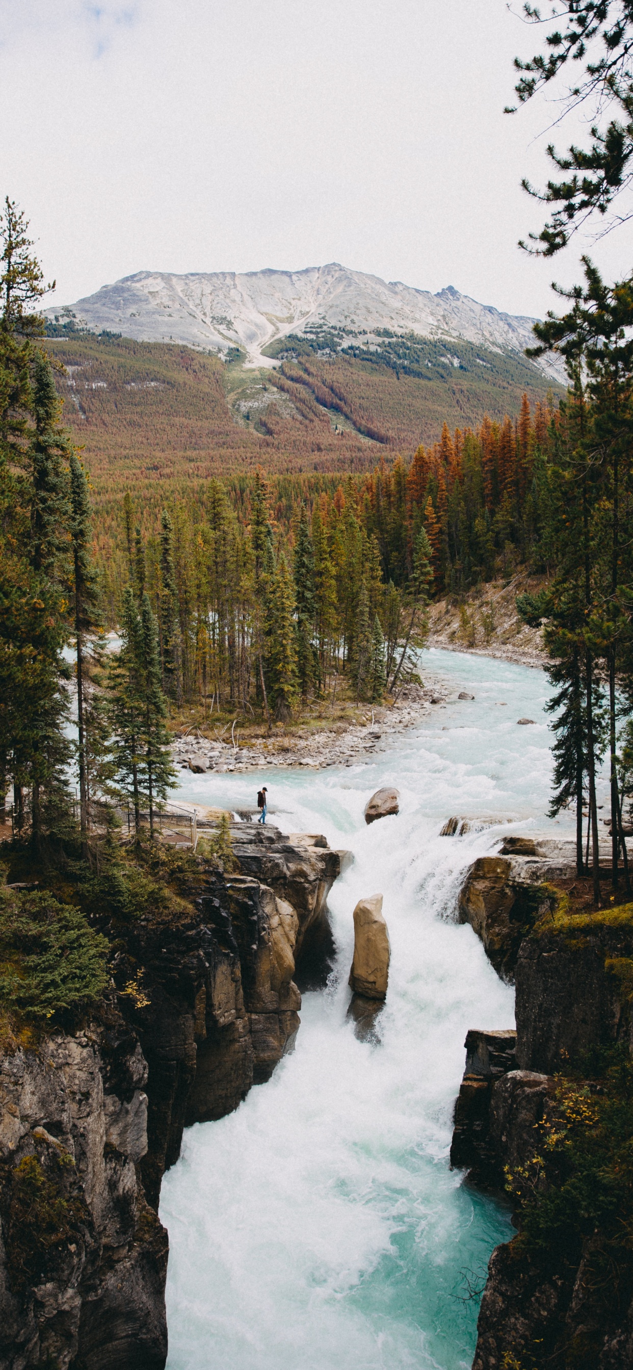 Обои окружающая среда, водоем, природа, природный ландшафт, дикая местность в разрешении 1242x2688