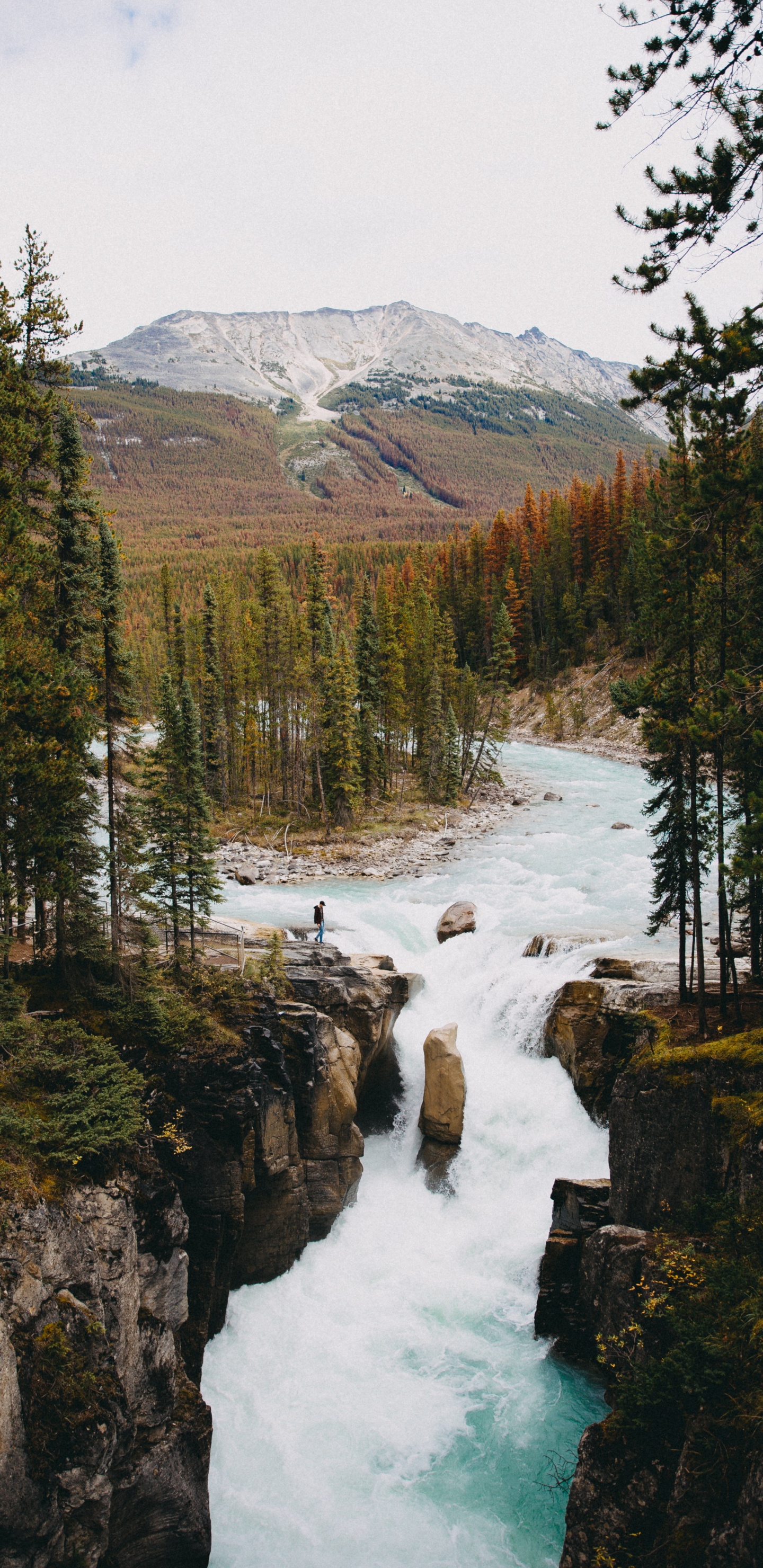Обои окружающая среда, водоем, природа, природный ландшафт, дикая местность в разрешении 1440x2960