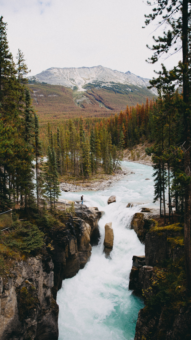 Обои окружающая среда, водоем, природа, природный ландшафт, дикая местность в разрешении 750x1334