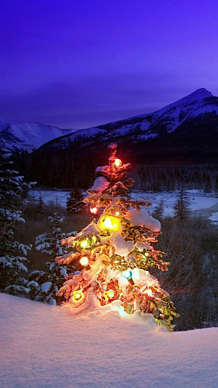 Обои Рождественский день, елка, снег, зима, природа в разрешении 750x1334
