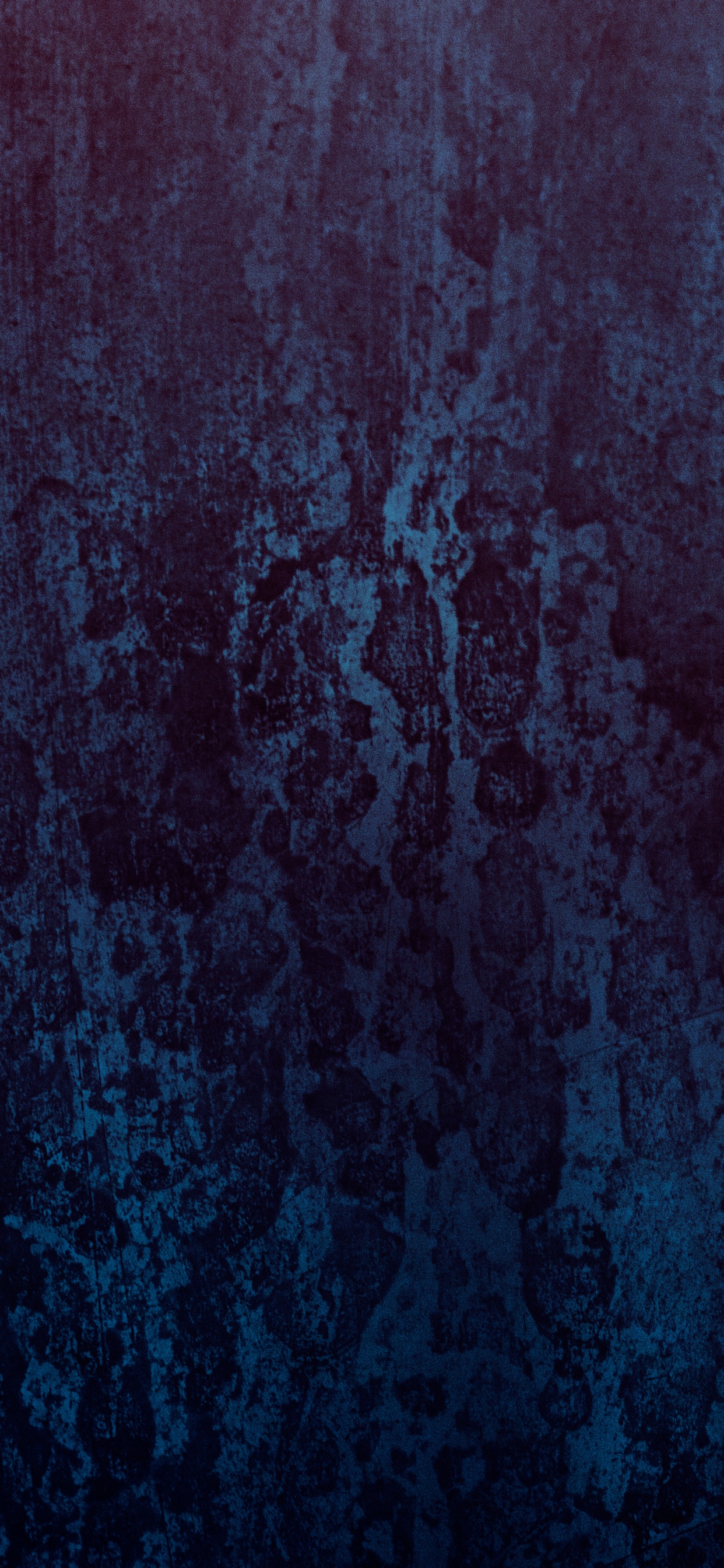 Обои атмосфера, темнота, дерево, синий, черный в разрешении 1242x2688