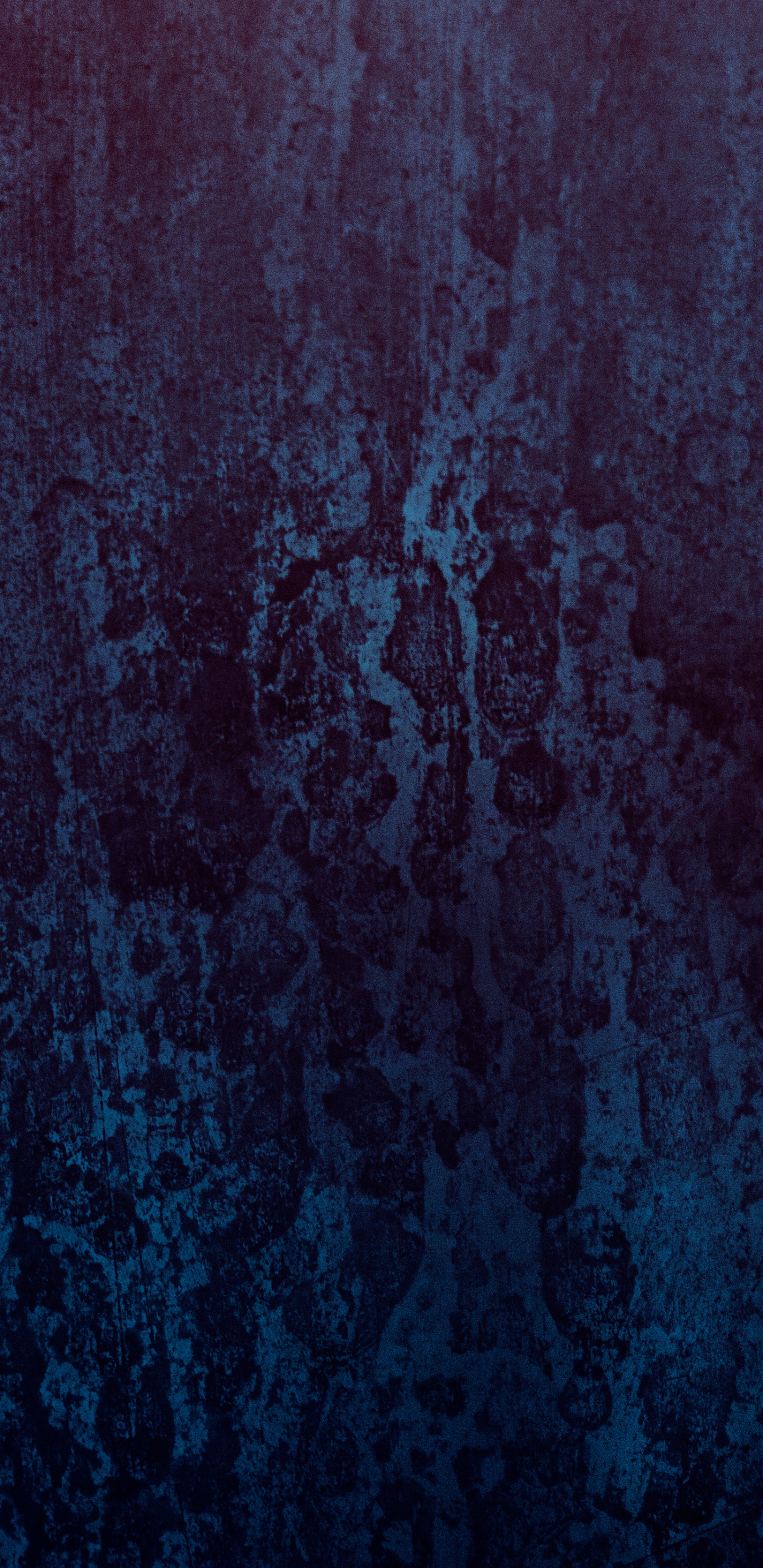 Обои атмосфера, темнота, дерево, синий, черный в разрешении 1440x2960