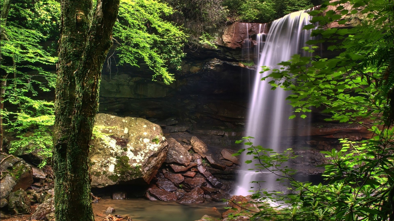 Обои водопад, природа, водоем, гидроресурсы, природный заповедник в разрешении 1366x768