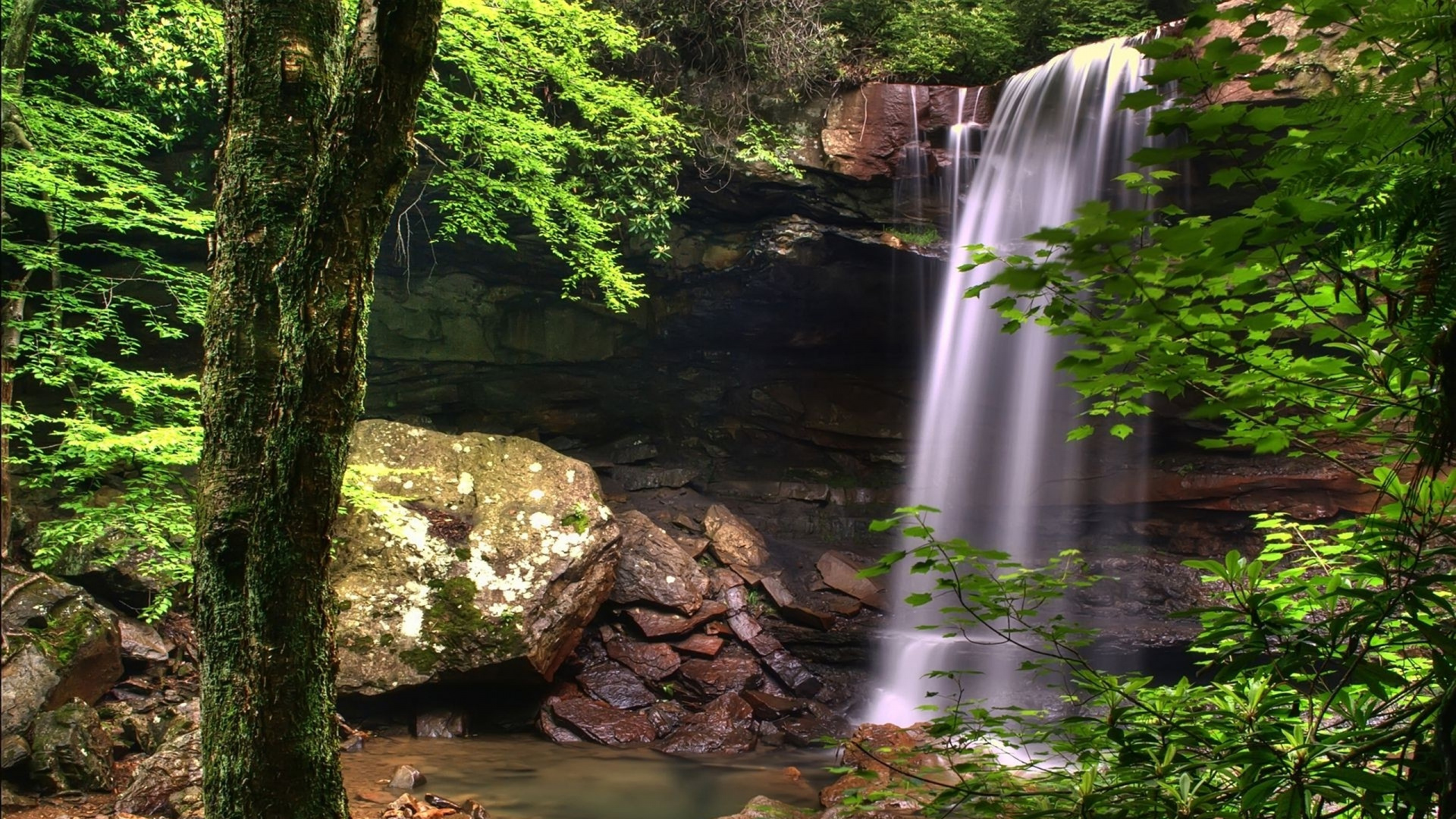 Обои водопад, природа, водоем, гидроресурсы, природный заповедник в разрешении 1920x1080