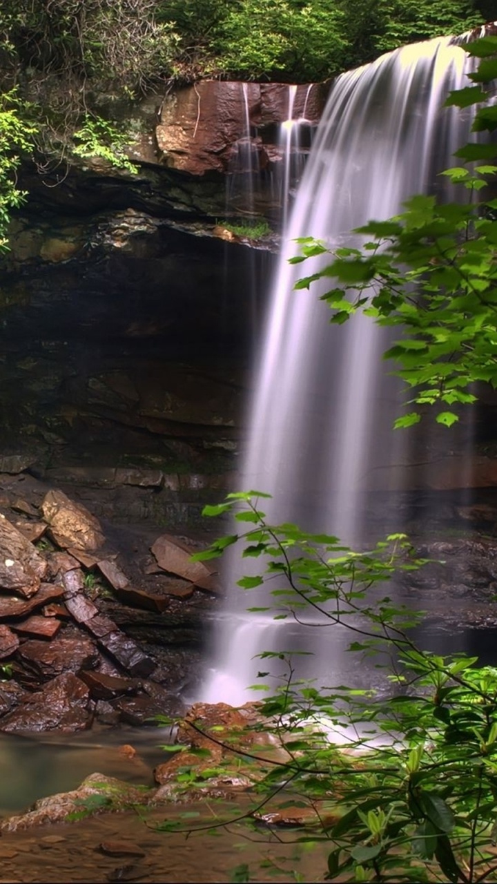 Обои водопад, природа, водоем, гидроресурсы, природный заповедник в разрешении 720x1280