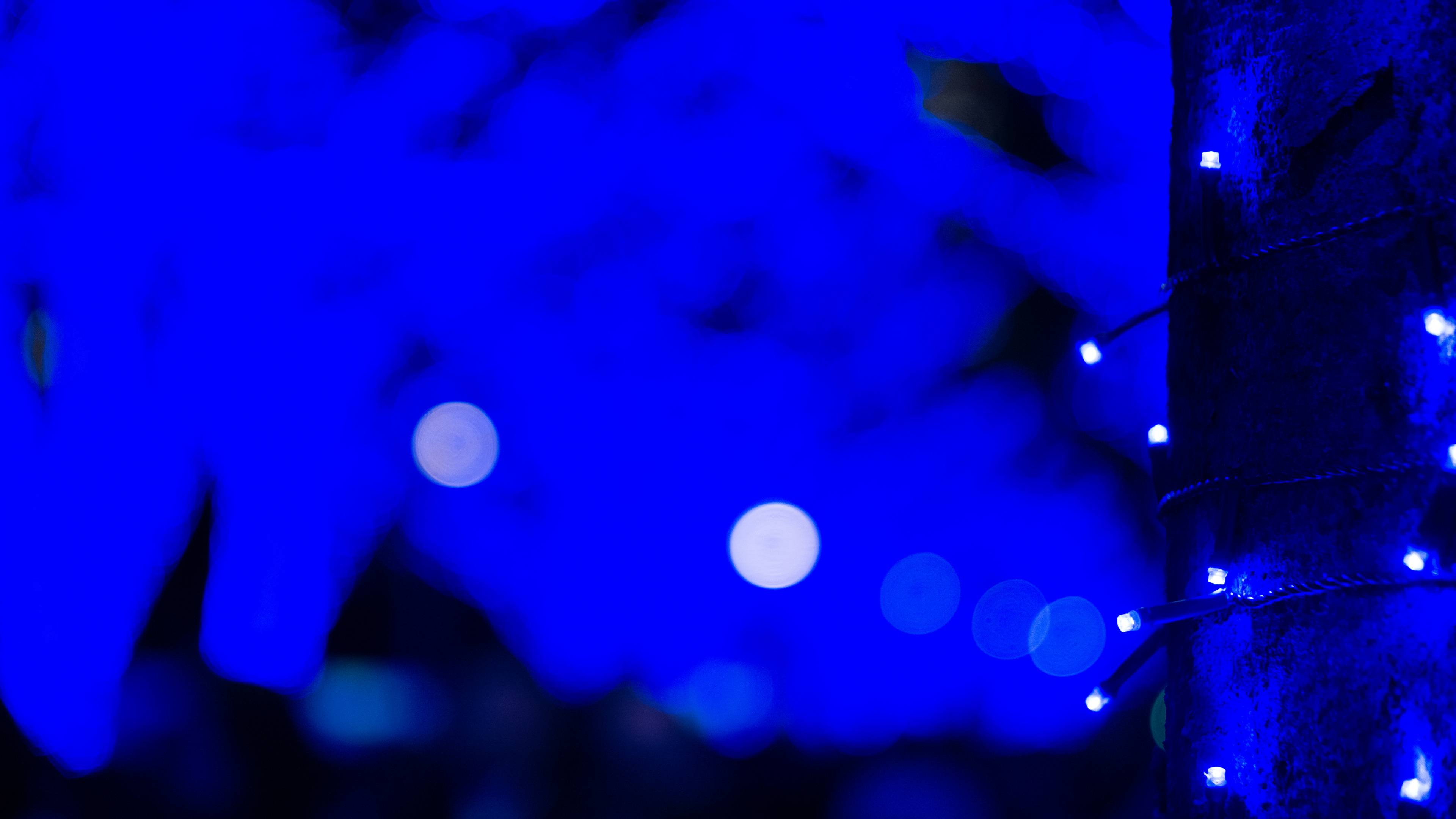Обои синий, синий кобальт, свет, Фиолетовый, электрик в разрешении 3840x2160