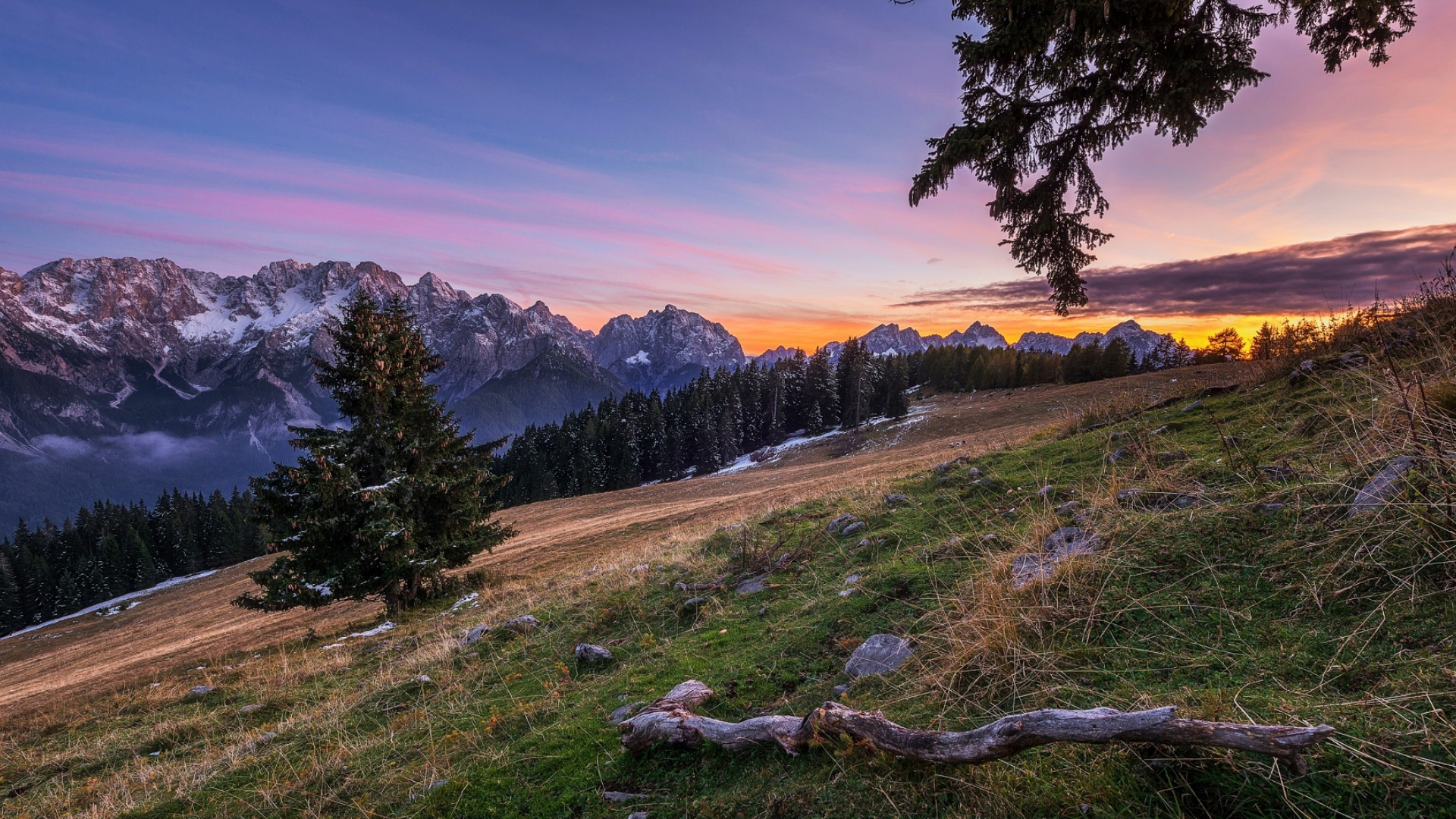 Обои закат, гора, облако, растение, природный ландшафт в разрешении 1920x1080