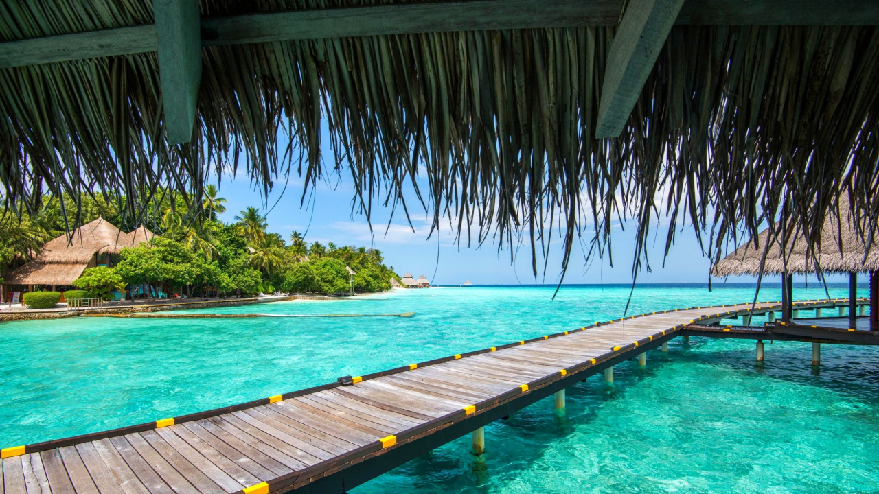 Обои пляж, море, прибежище, плавательный бассейн, отпуск в разрешении 1280x720