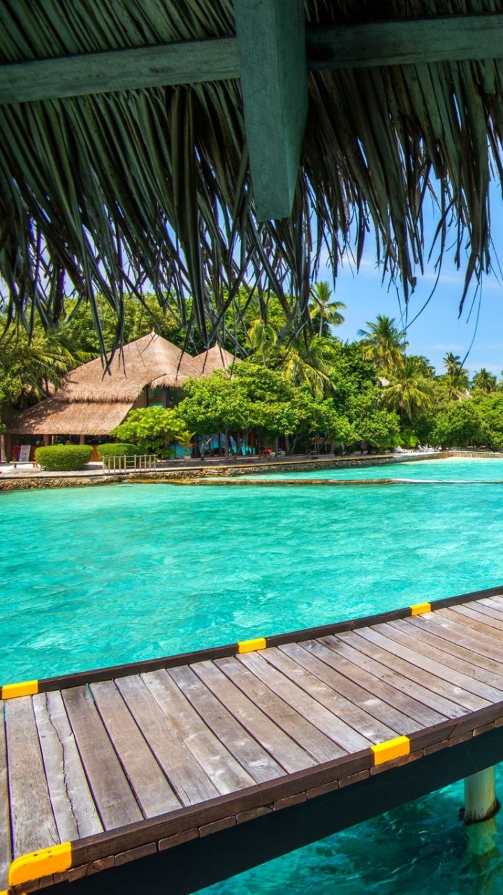 Обои пляж, море, прибежище, плавательный бассейн, отпуск в разрешении 720x1280