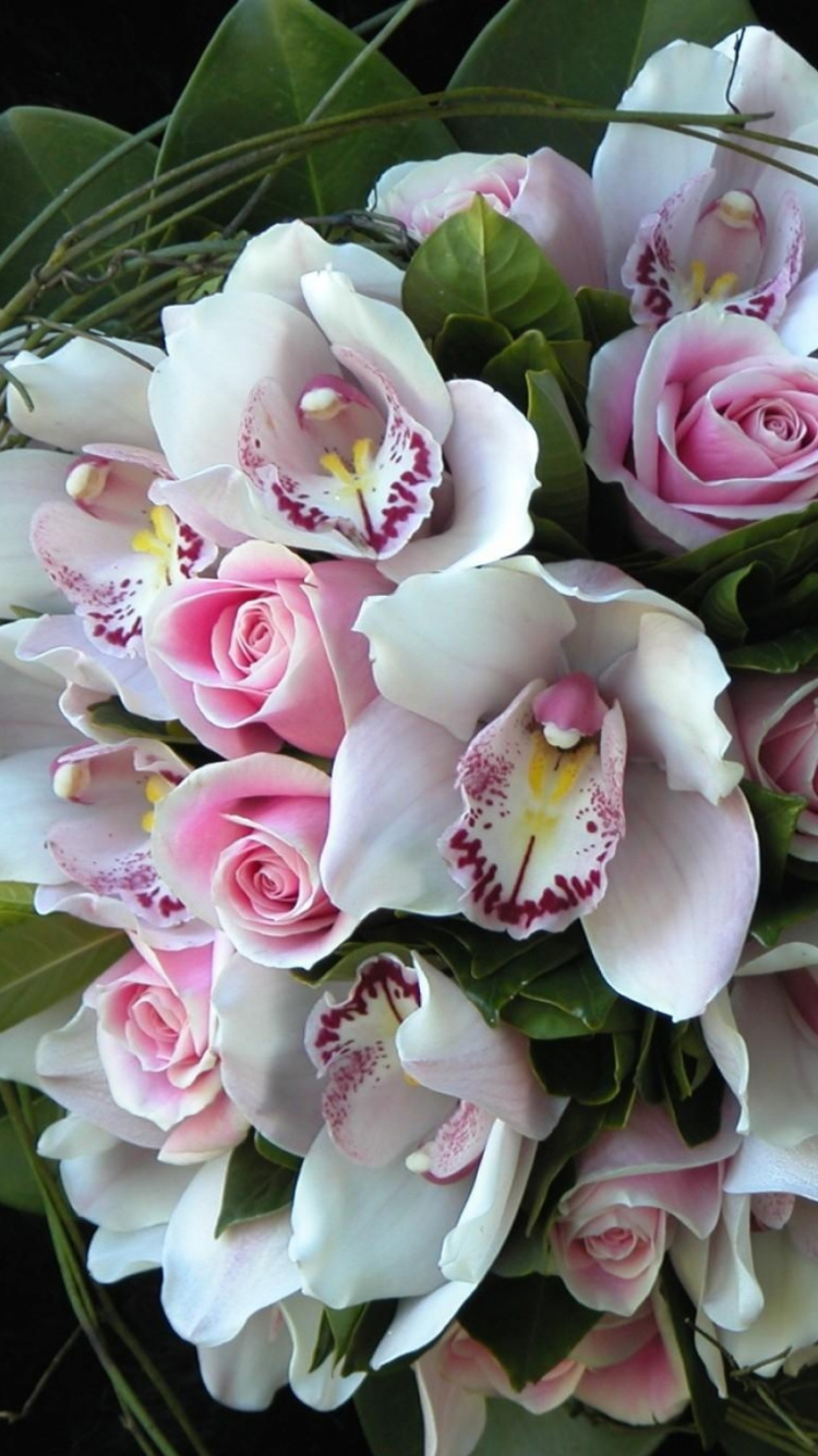 Обои цветочный букет, флористики, флористика, растение, розовый в разрешении 750x1334