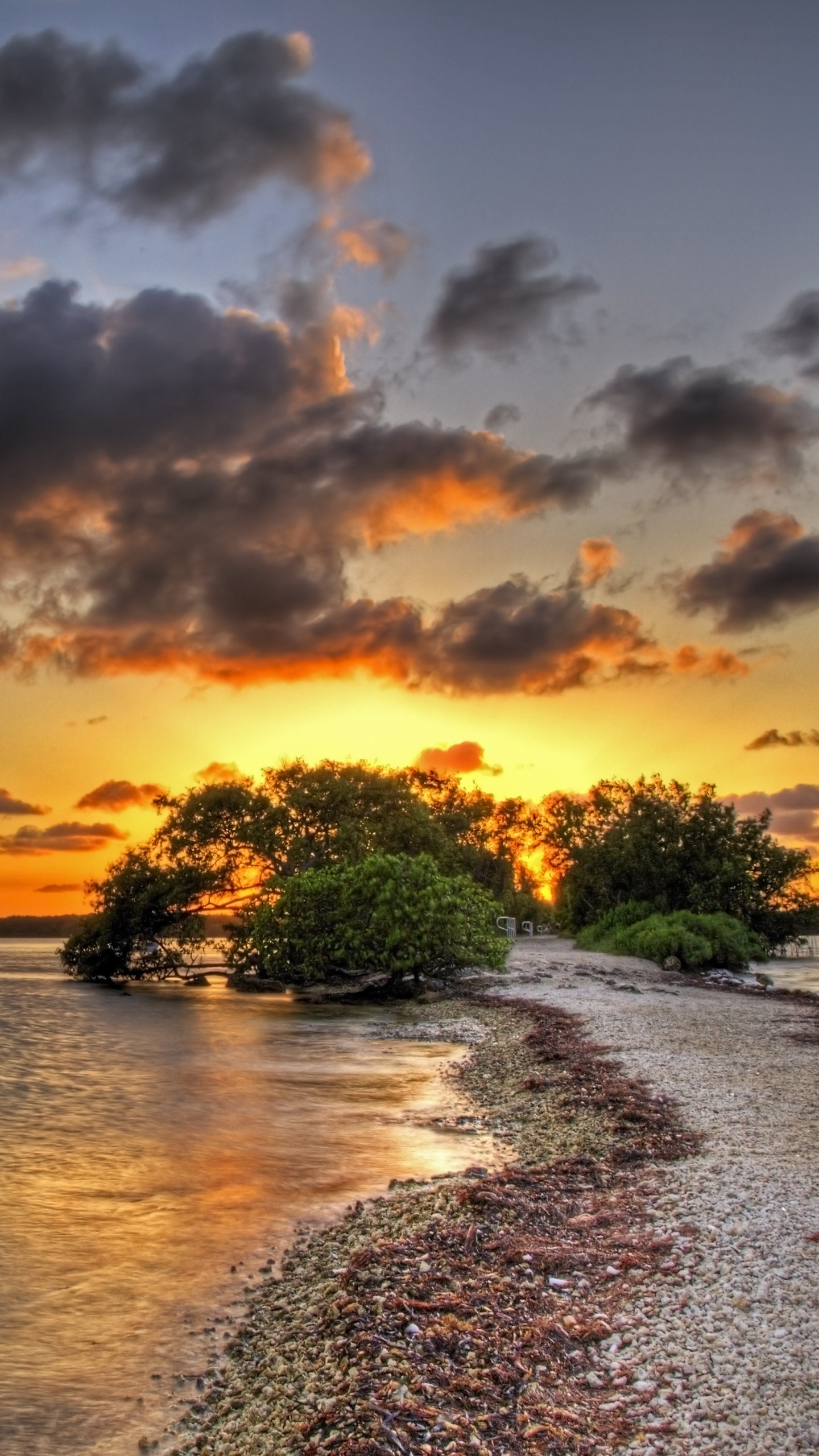 Обои закат, горизонт, восход солнца, облако, море в разрешении 1440x2560