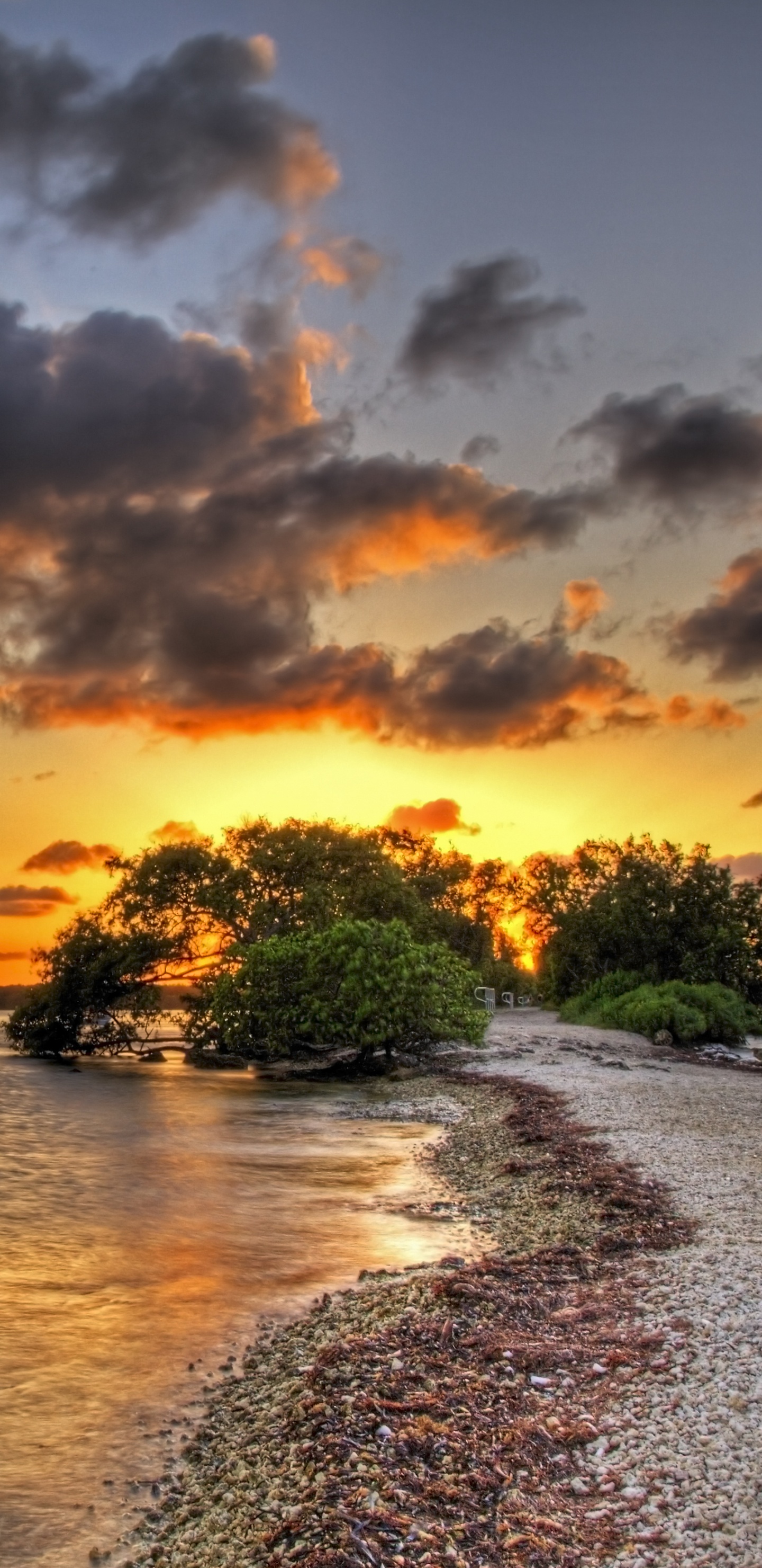 Обои закат, горизонт, восход солнца, облако, море в разрешении 1440x2960