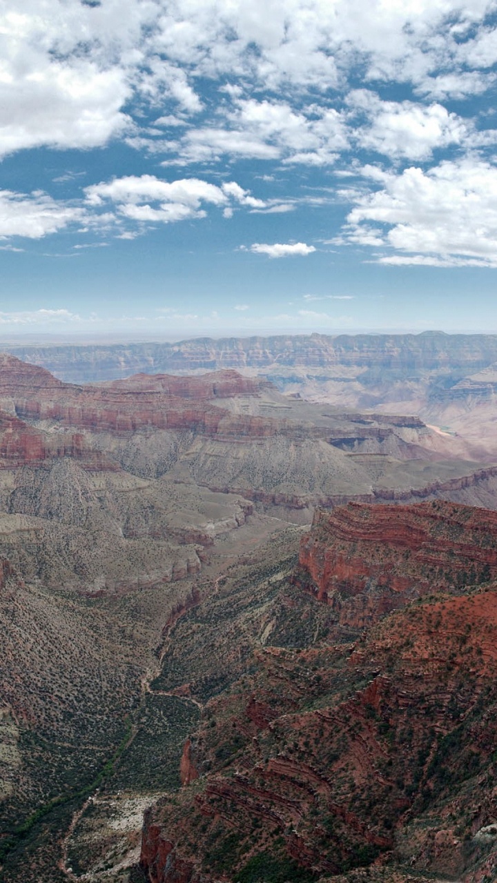 Обои река Колорадо, каньон, бесплодные земли, откос, формирование в разрешении 720x1280