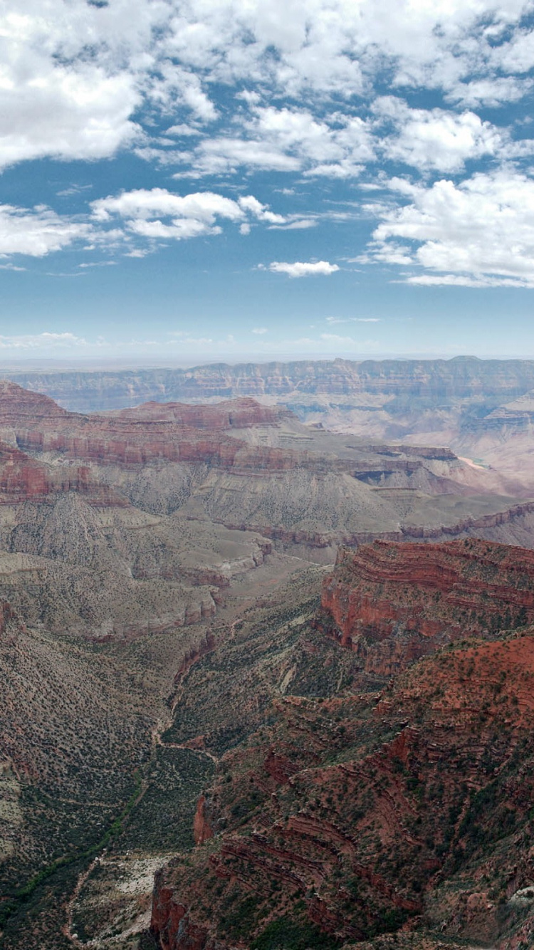 Обои река Колорадо, каньон, бесплодные земли, откос, формирование в разрешении 750x1334