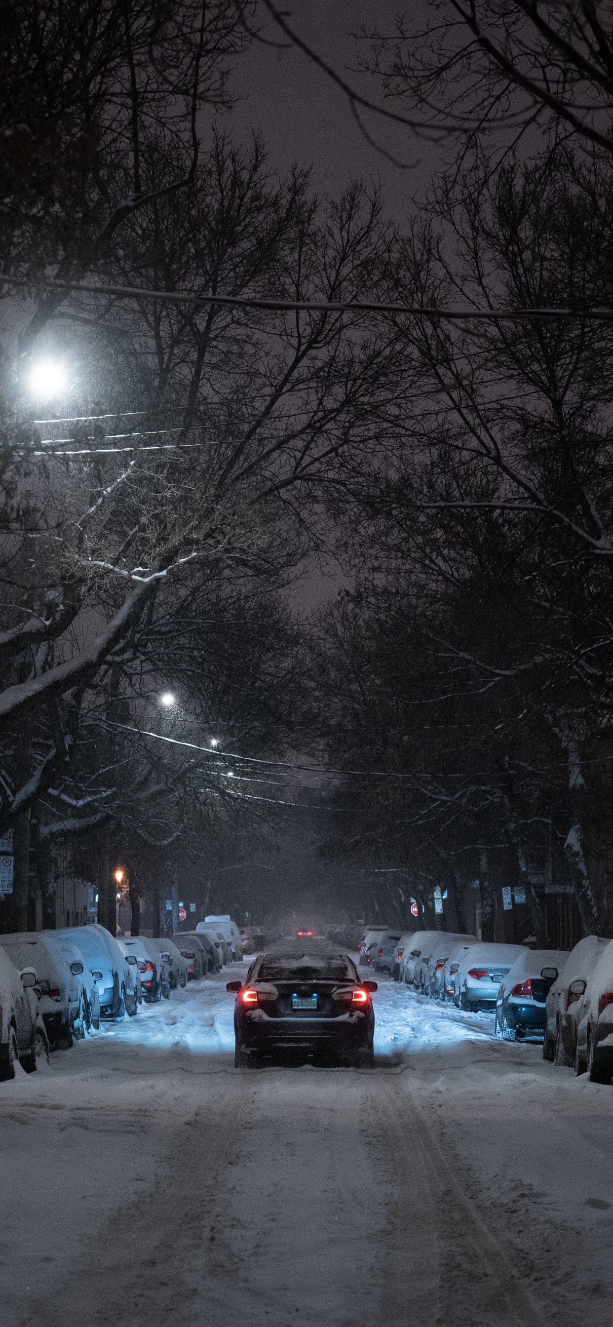 Обои снег, зима, ночь, уличный фонарь, зимняя дорога в разрешении 1242x2688
