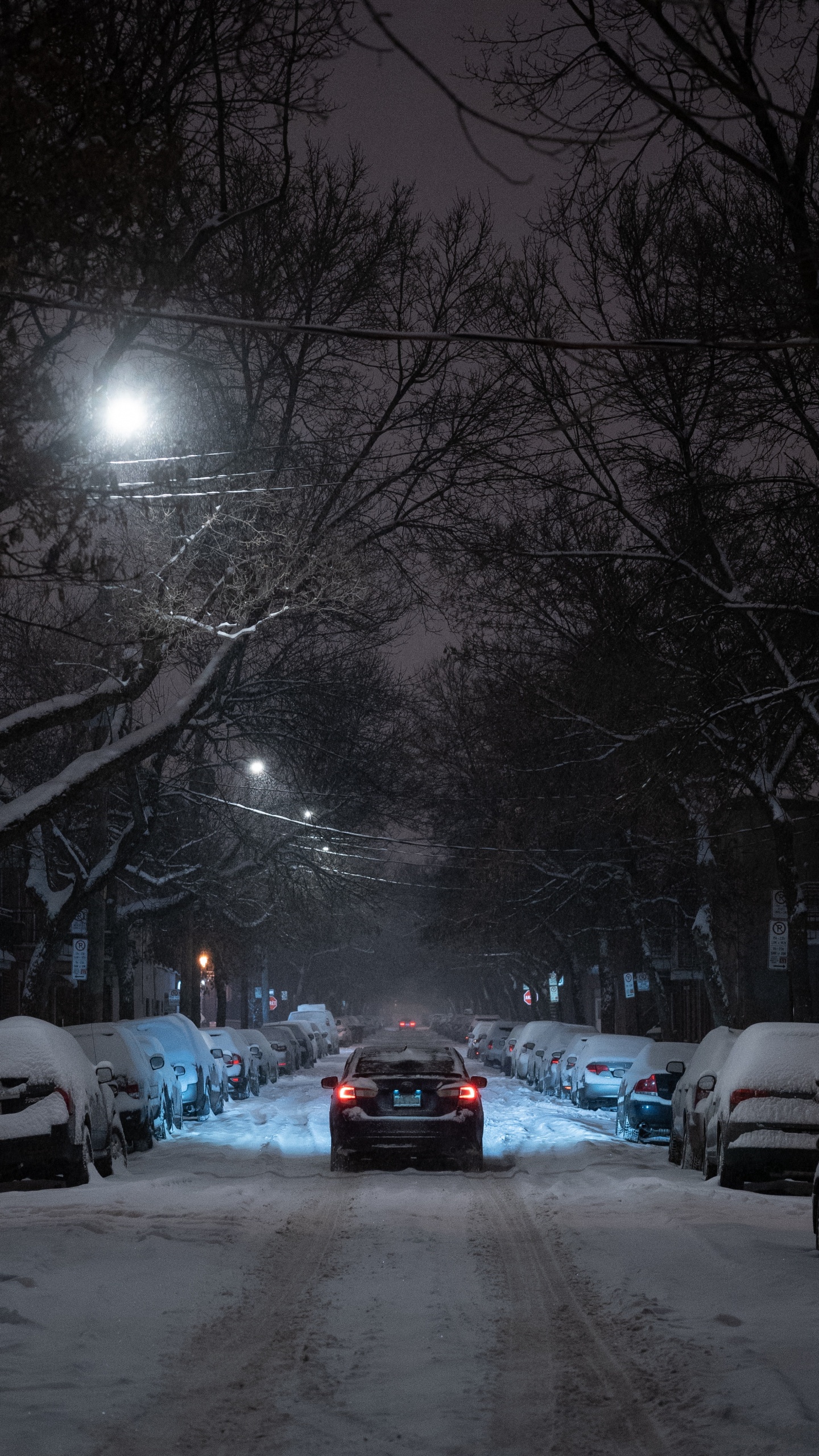 Обои снег, зима, ночь, уличный фонарь, зимняя дорога в разрешении 1440x2560