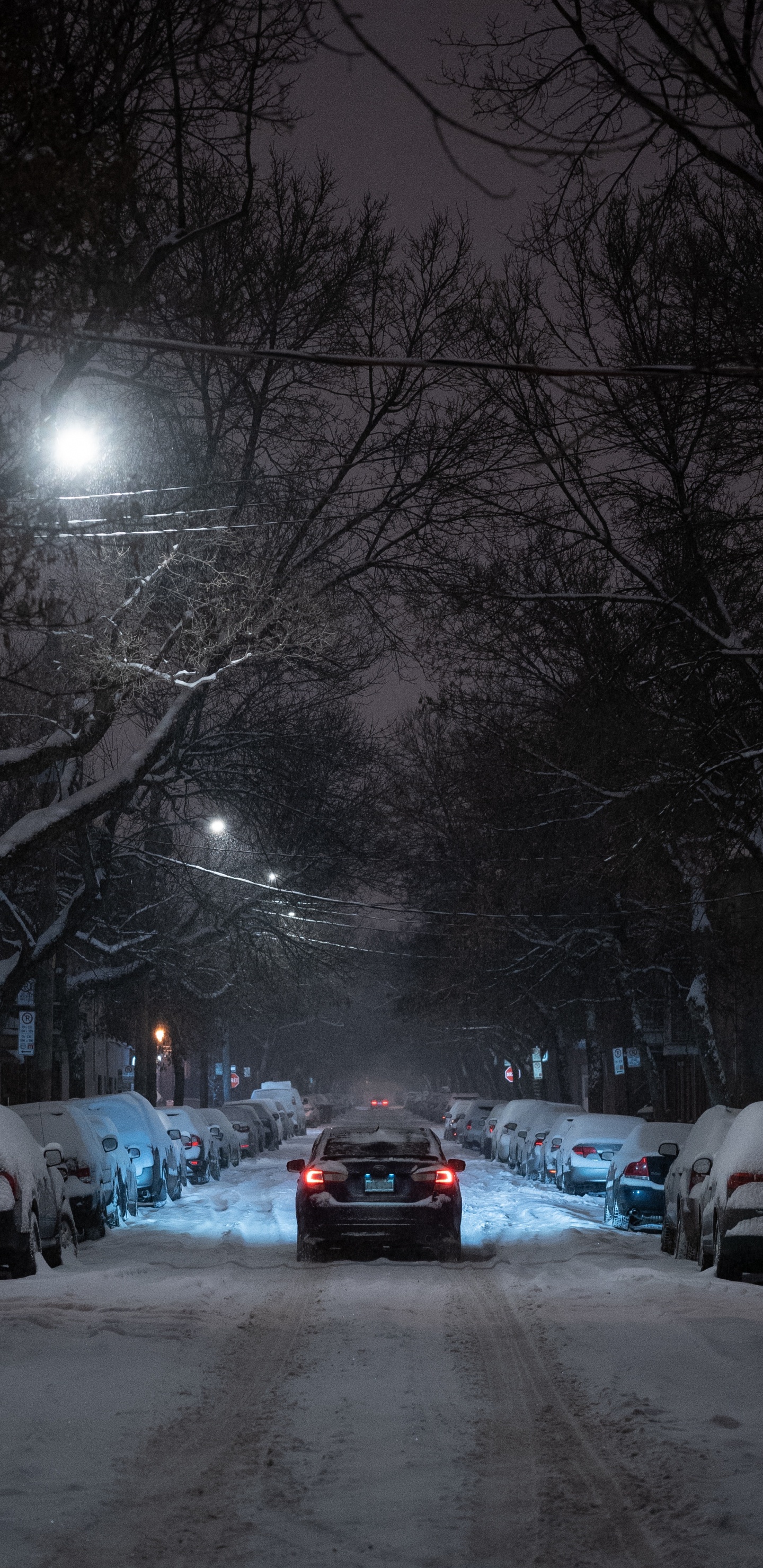 Обои снег, зима, ночь, уличный фонарь, зимняя дорога в разрешении 1440x2960