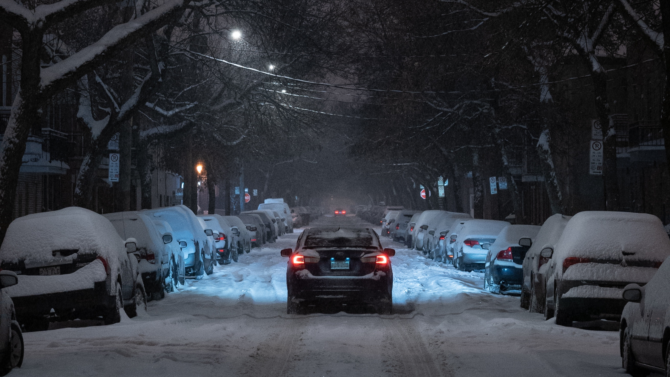 Обои снег, зима, ночь, уличный фонарь, зимняя дорога в разрешении 2560x1440