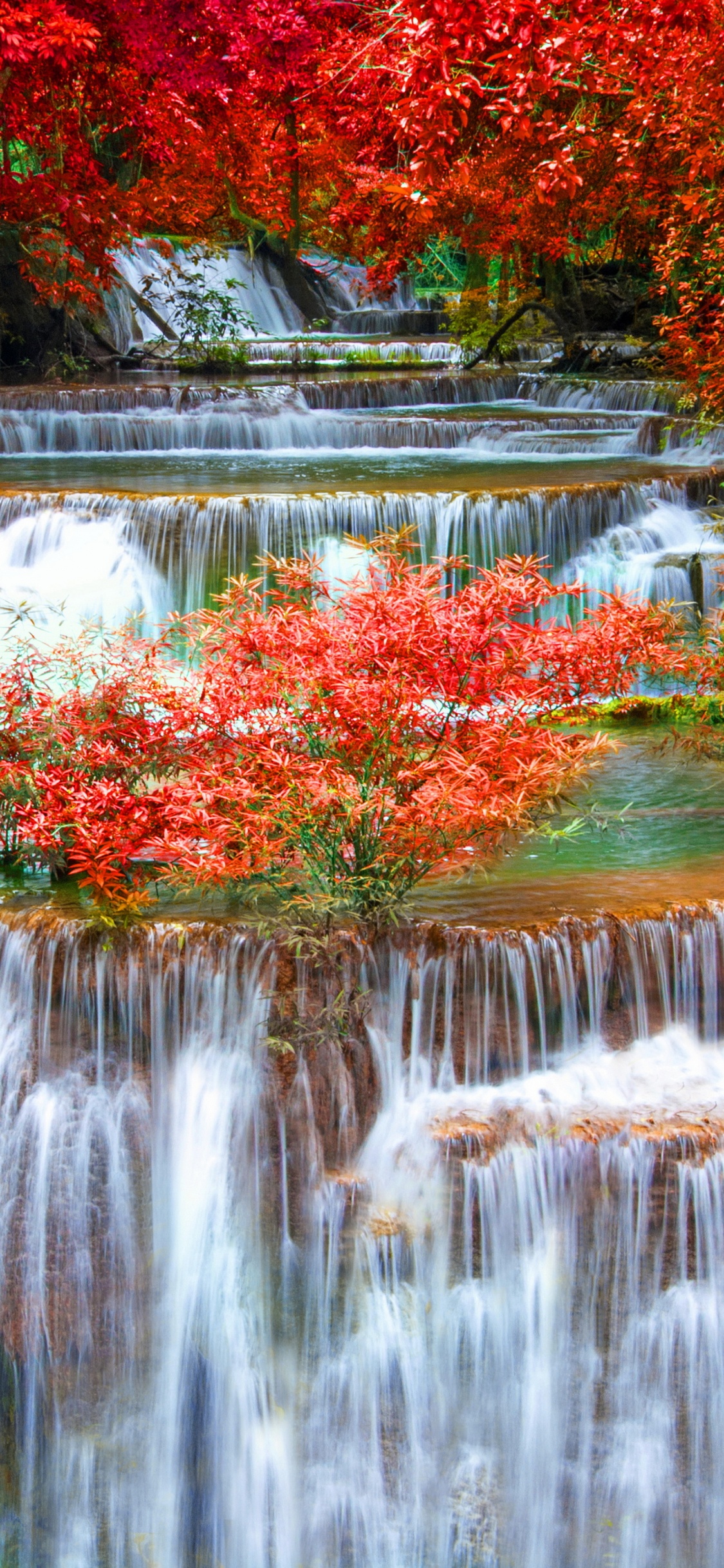 Обои водопад, осень, природа, лист, Куанг Si Водопад в разрешении 1125x2436