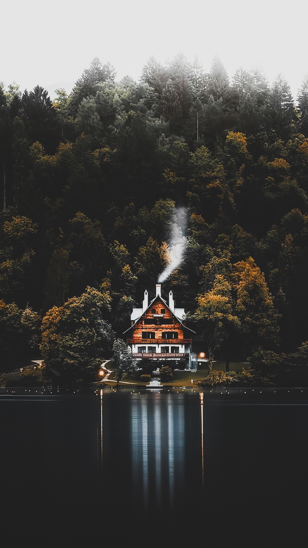 Обои отражение, лист, вода, гидроресурсы, растение в разрешении 1080x1920