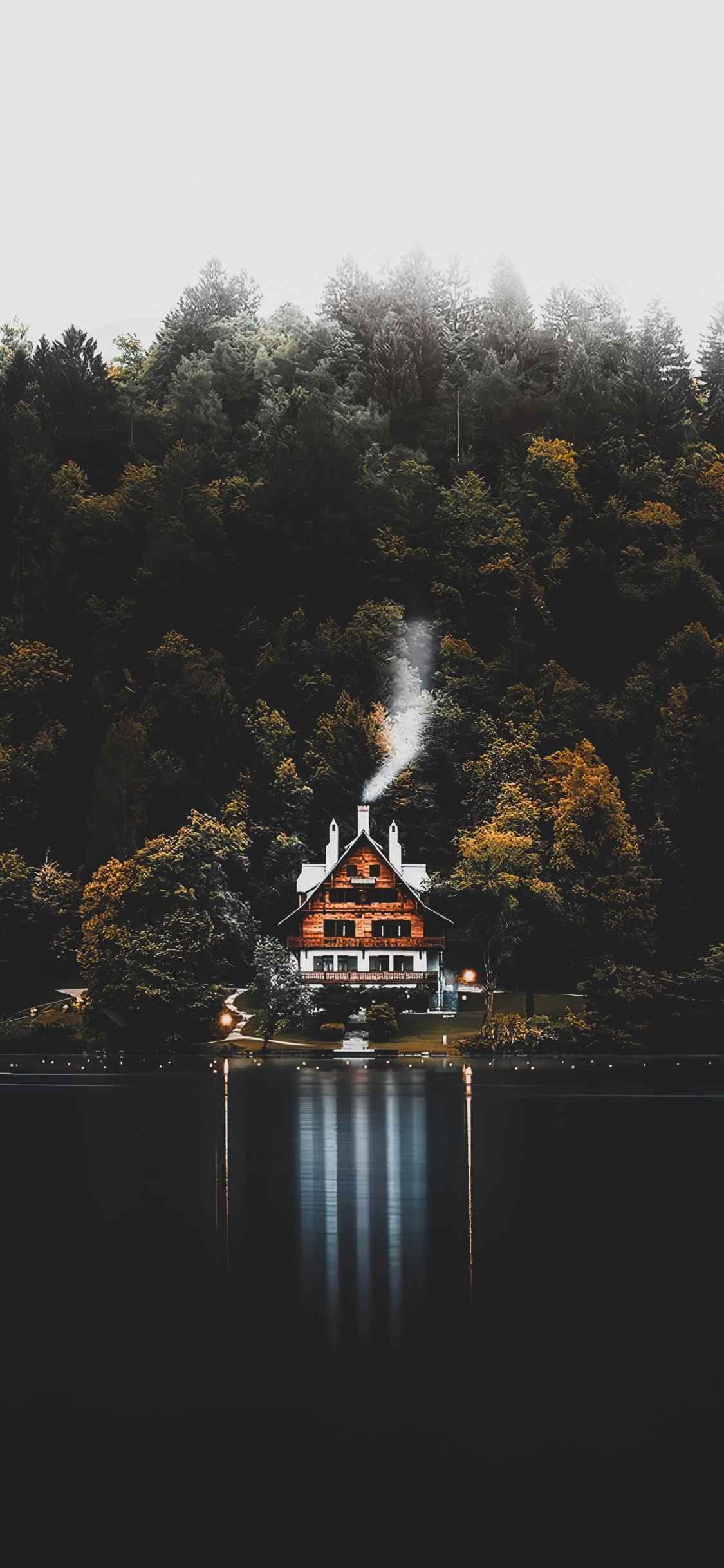 Обои отражение, лист, вода, гидроресурсы, растение в разрешении 1125x2436