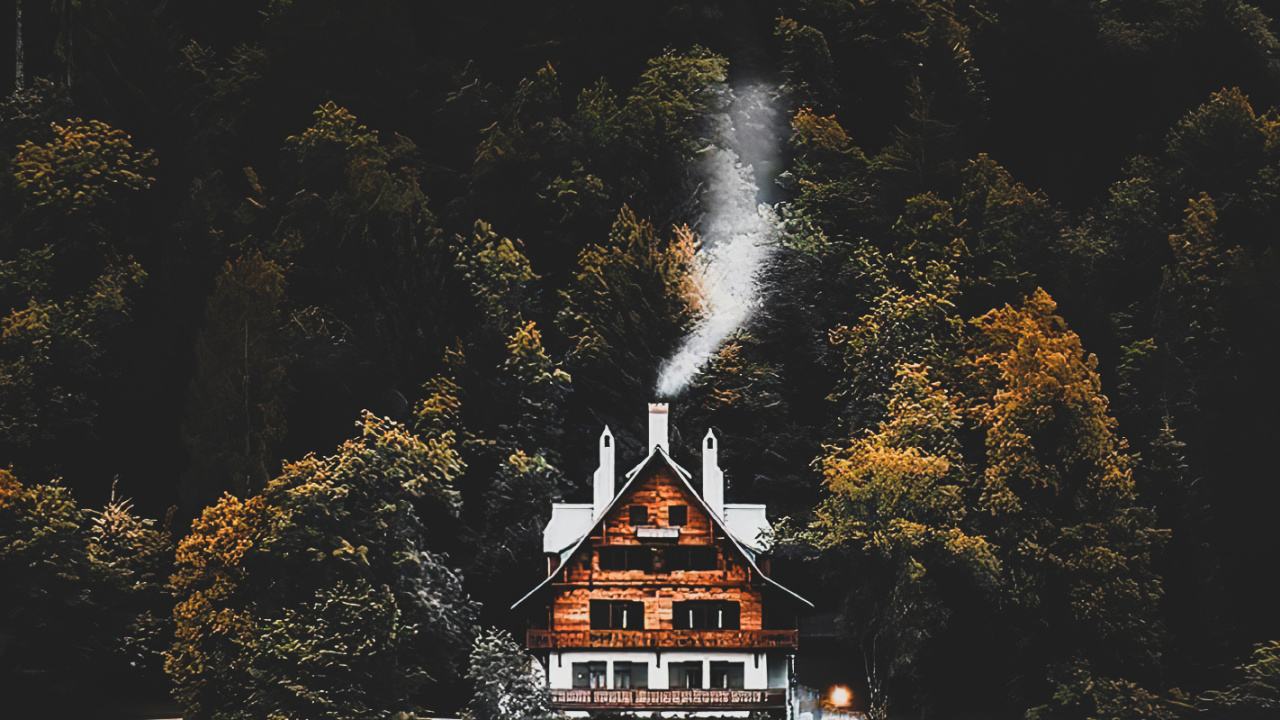 Обои отражение, лист, вода, гидроресурсы, растение в разрешении 1280x720