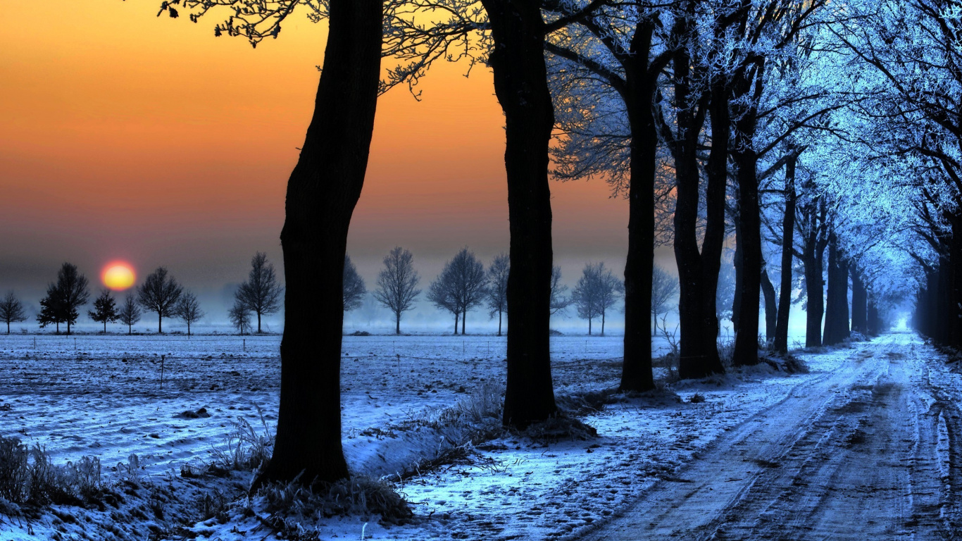 Обои дерево, природа, снег, зима, замораживание в разрешении 1366x768