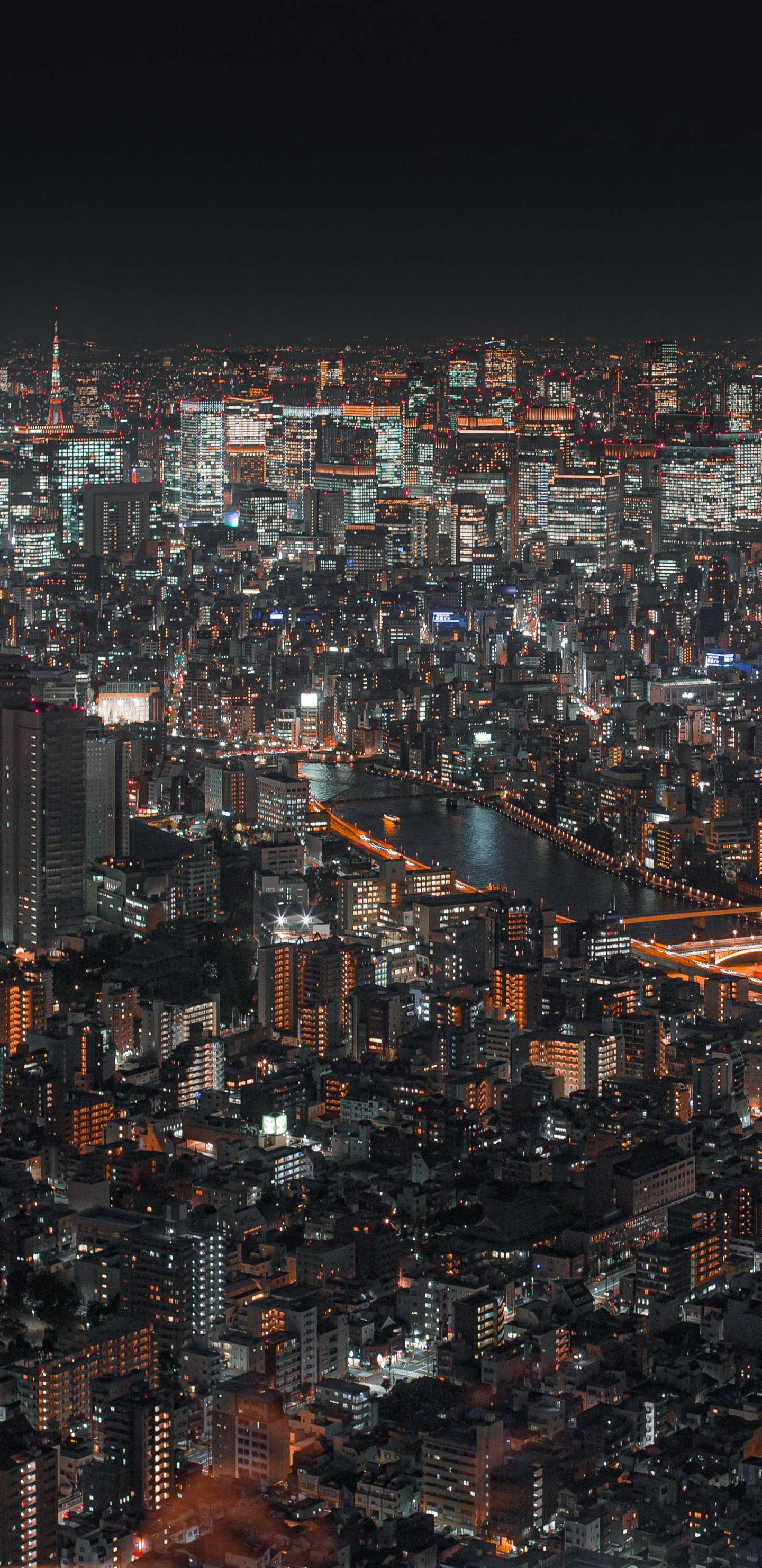 Обои ночь, город, городской пейзаж, городской район, метрополия в разрешении 1440x2960