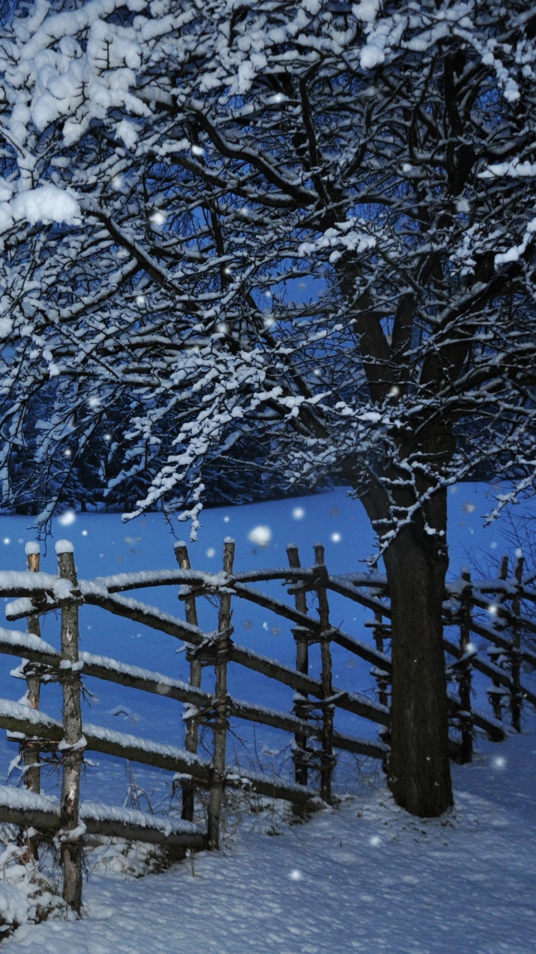 Обои снег, зима, дерево, замораживание, мороз в разрешении 1080x1920