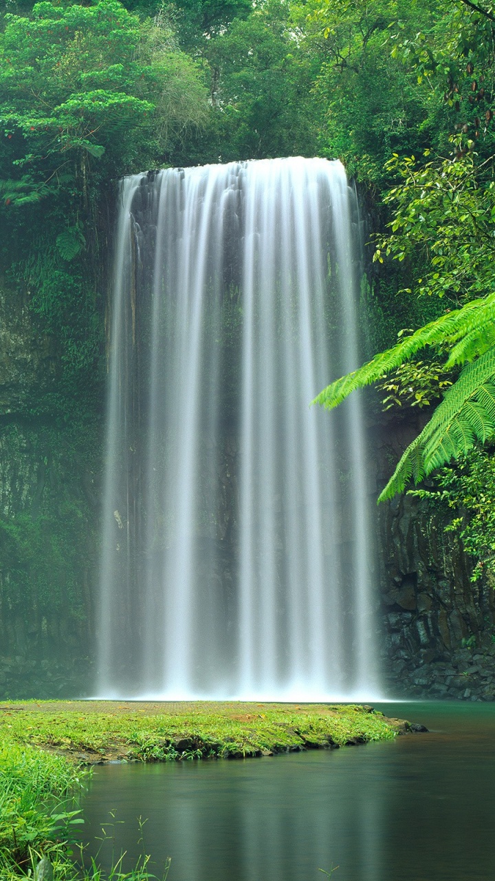 Обои Millaa Millaa Падает, водопад, гидроресурсы, природа, водоем в разрешении 720x1280