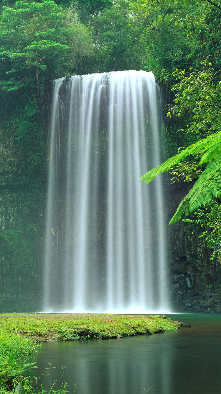 Обои Millaa Millaa Падает, водопад, гидроресурсы, природа, водоем в разрешении 750x1334