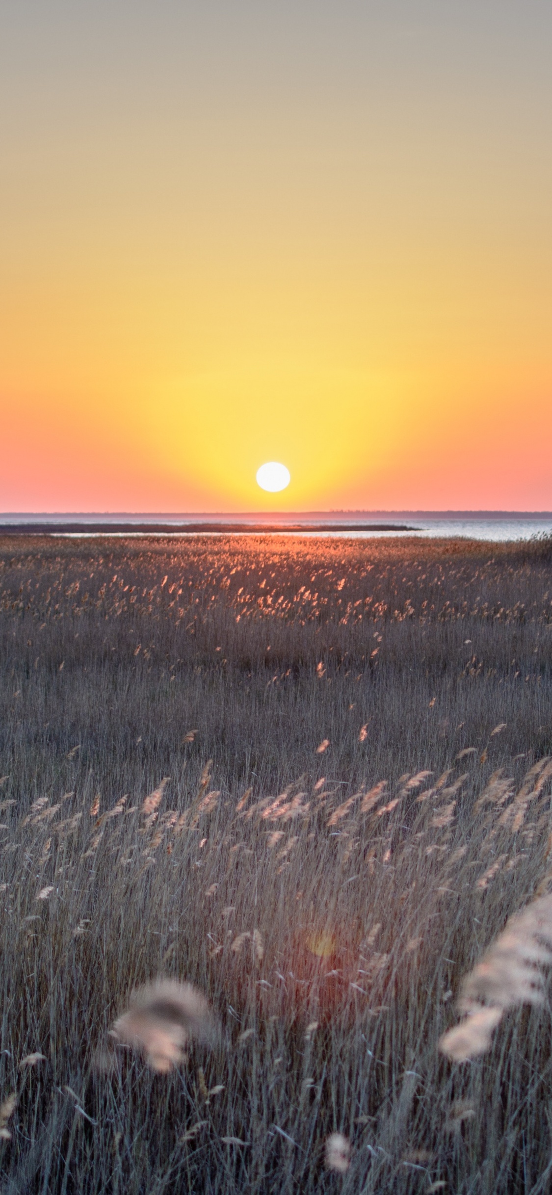 Обои закат, горизонт, природный ландшафт, восход солнца, окружающая среда в разрешении 1125x2436