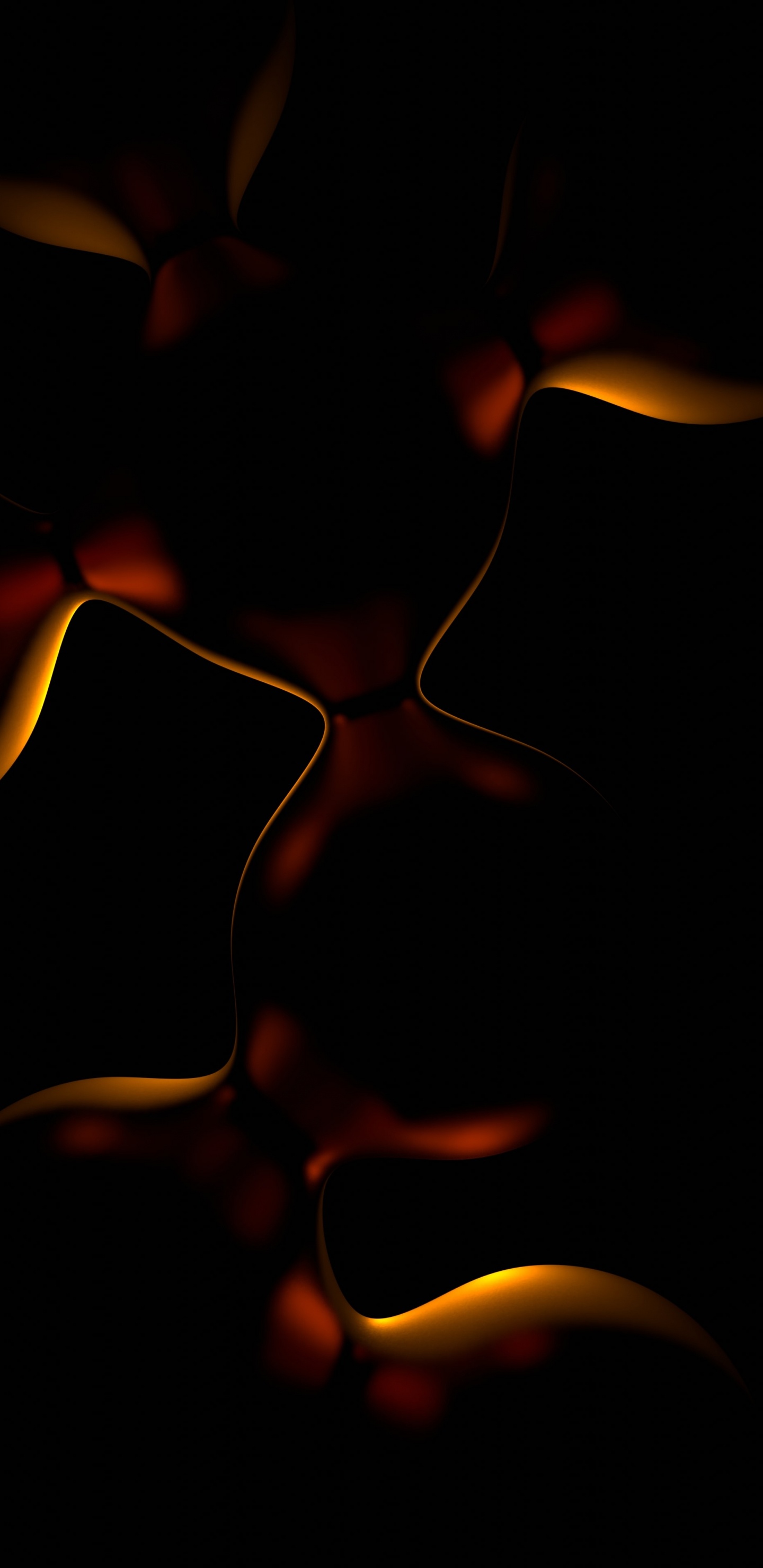 Обои темнота, лепесток, полутона и оттенки, арт, наземное растение в разрешении 1440x2960