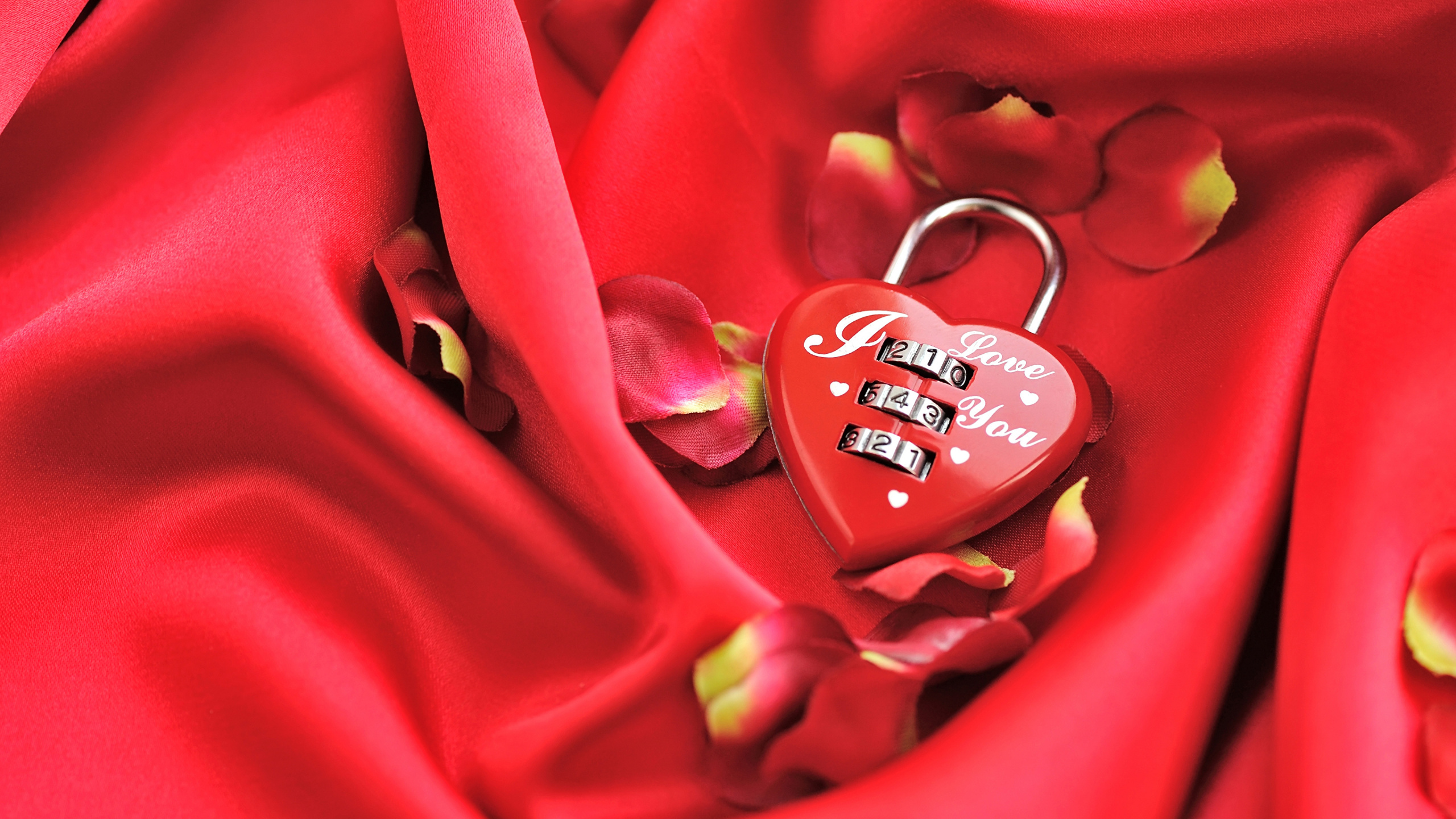 Обои красный цвет, День Святого Валентина, сердце, любовь, музыка в разрешении 2560x1440