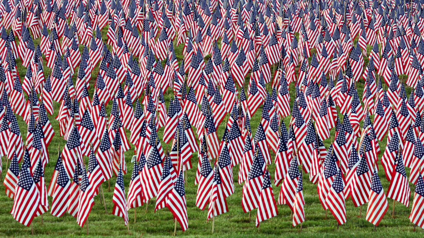 Обои флаг, флаг Соединенных Штатов, растение, семейство травы, трава в разрешении 1366x768