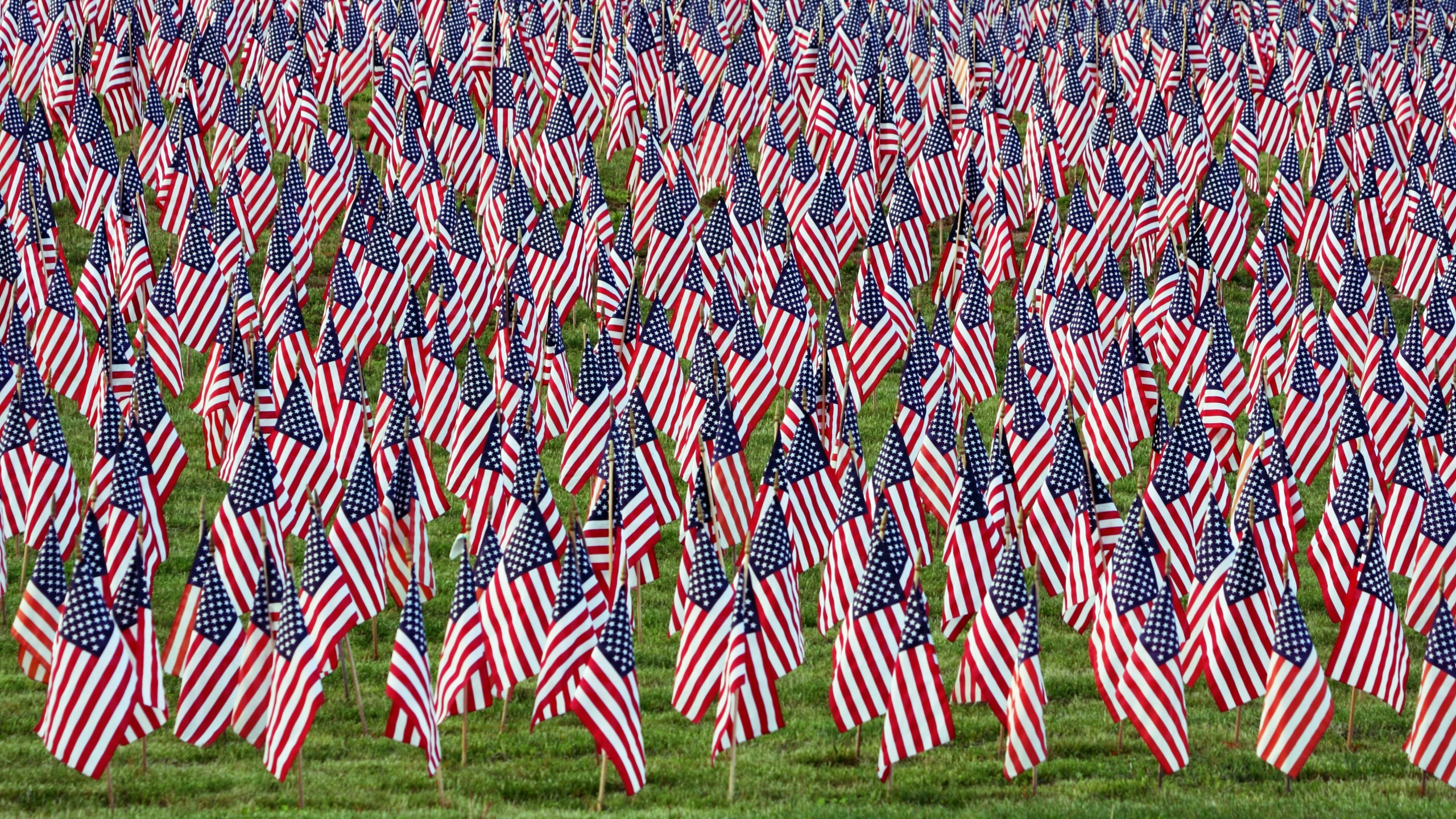 Обои флаг, флаг Соединенных Штатов, растение, семейство травы, трава в разрешении 2560x1440