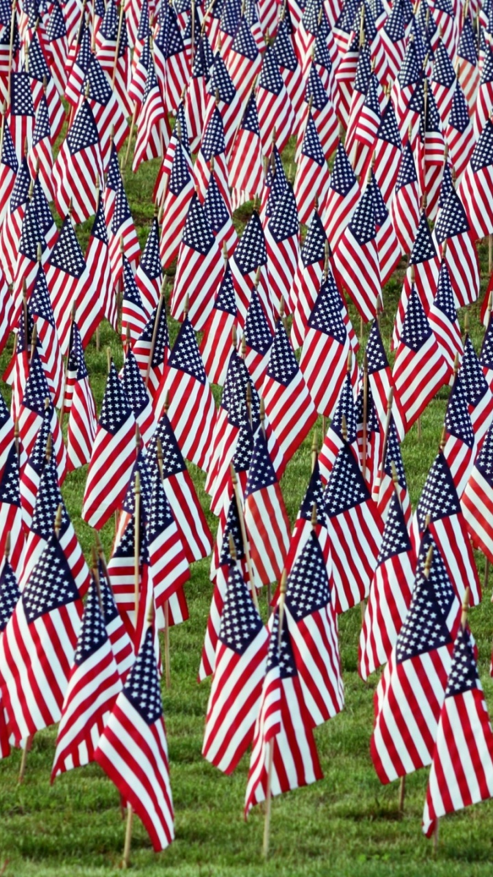 Обои флаг, флаг Соединенных Штатов, растение, семейство травы, трава в разрешении 720x1280