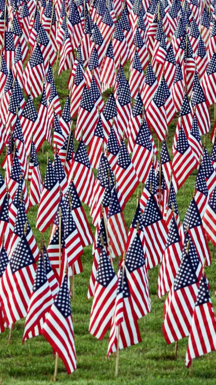 Обои флаг, флаг Соединенных Штатов, растение, семейство травы, трава в разрешении 750x1334