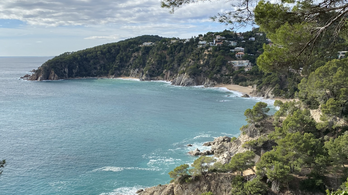 Обои побережье, водоем, растительность, океан, берег в разрешении 1366x768