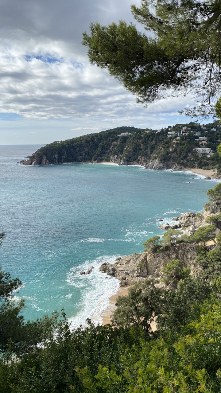 Обои побережье, водоем, растительность, океан, берег в разрешении 720x1280