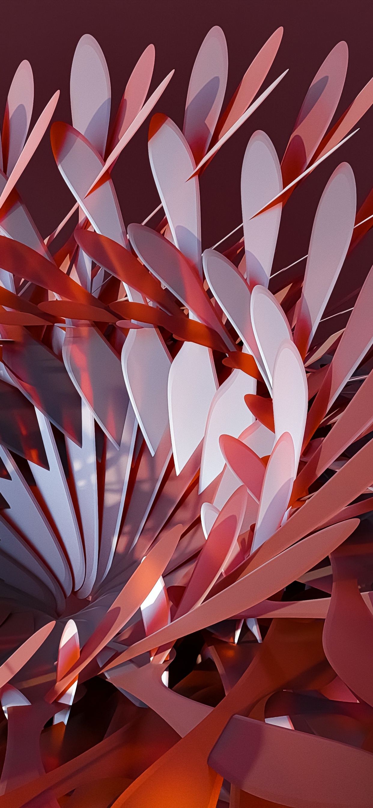 Обои оппозиционер брат, цветок, лепесток, арт, полутона и оттенки в разрешении 1242x2688