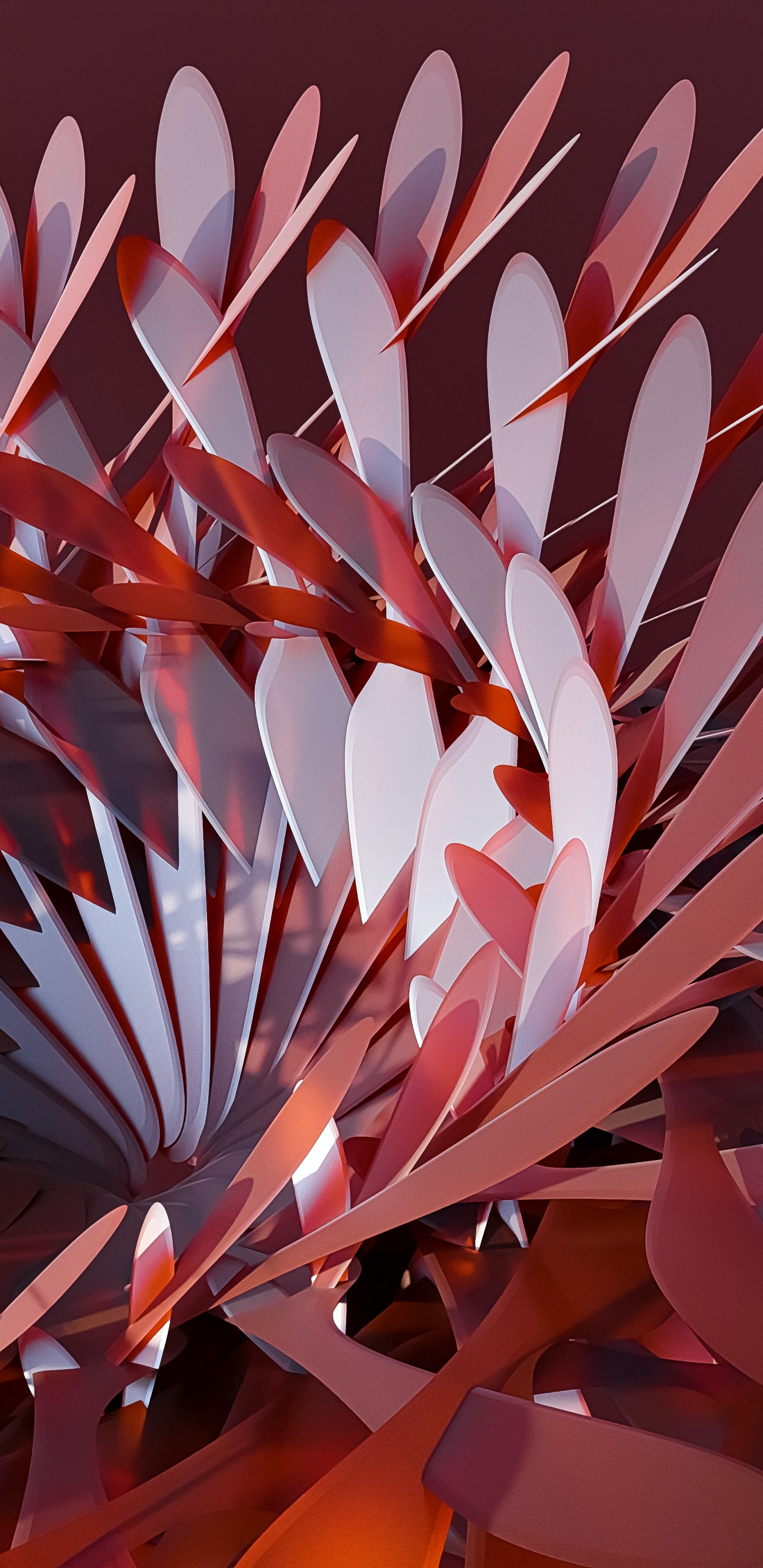 Обои оппозиционер брат, цветок, лепесток, арт, полутона и оттенки в разрешении 1440x2960