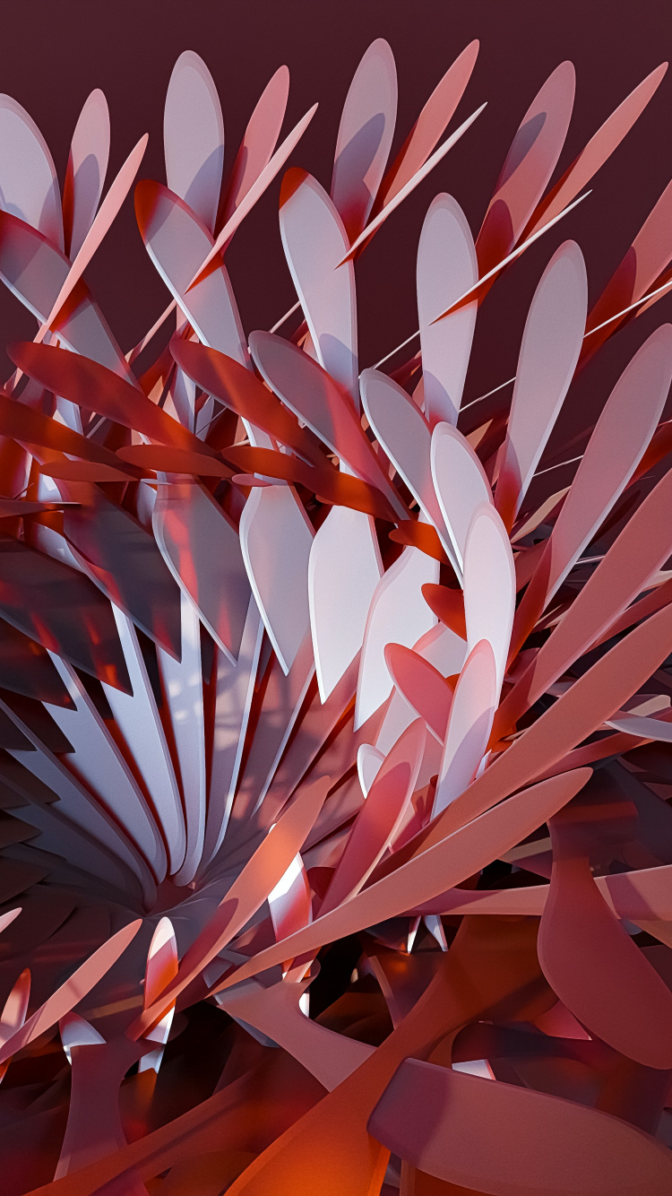 Обои оппозиционер брат, цветок, лепесток, арт, полутона и оттенки в разрешении 750x1334