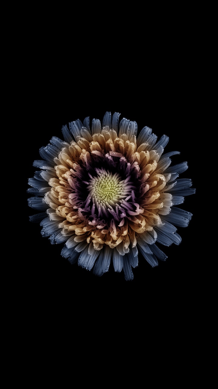 Обои  Infinix Note 4, infinix note 3, infinix note4, инфиникс, смартфон в разрешении 720x1280